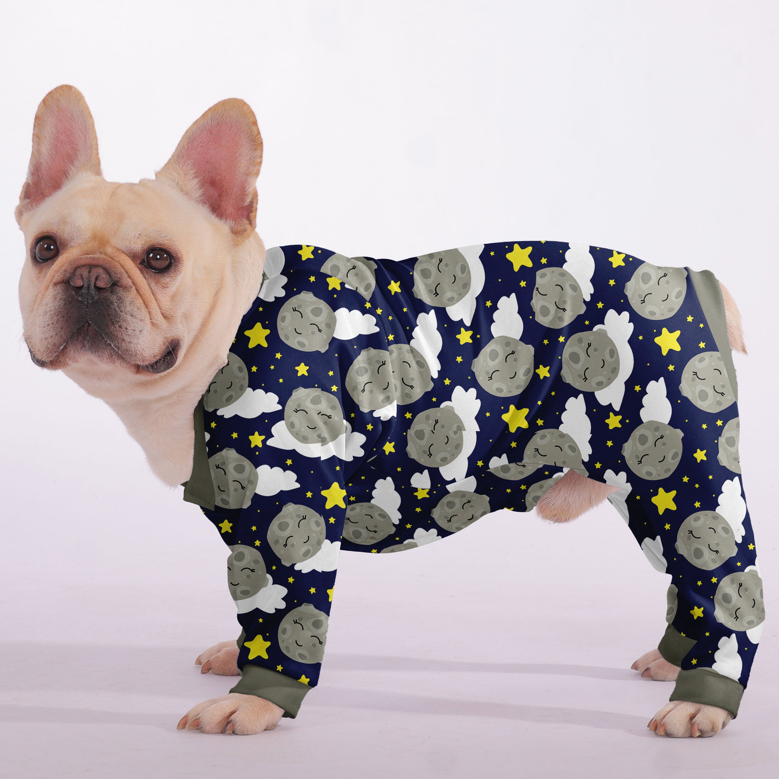 Finn French Bulldog Dog Accessory for Outdoor Adventures-fadou