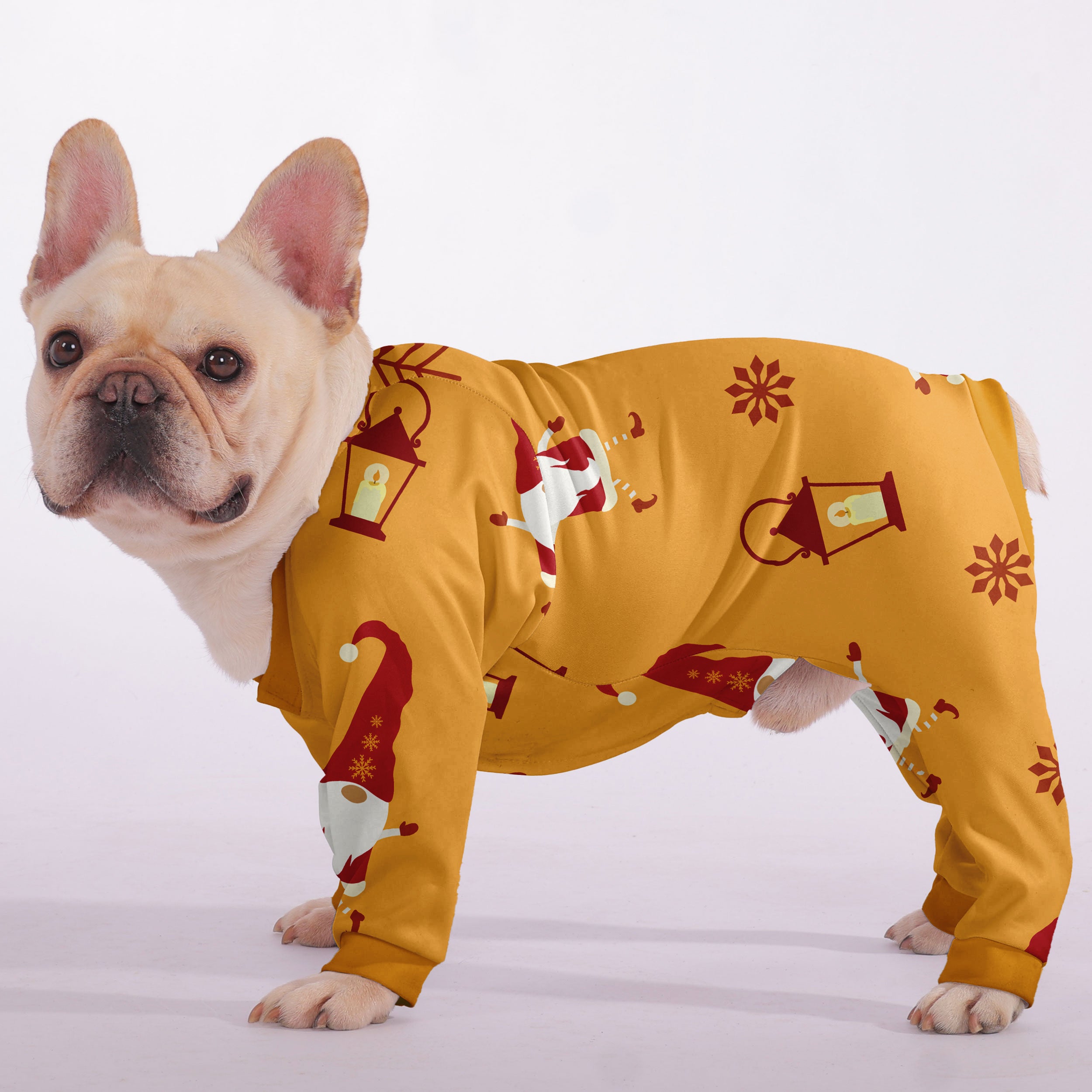 Pebble French Bulldog Dog Accessory for Training Sessions-fadou