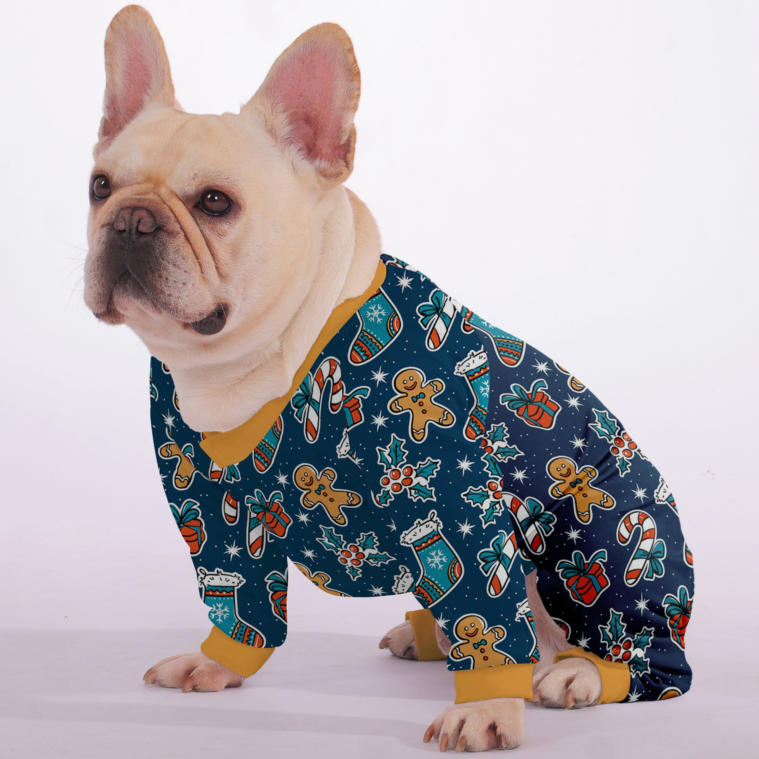 French Bulldog Christmas Dog Accessory for Training Sessions-fadou