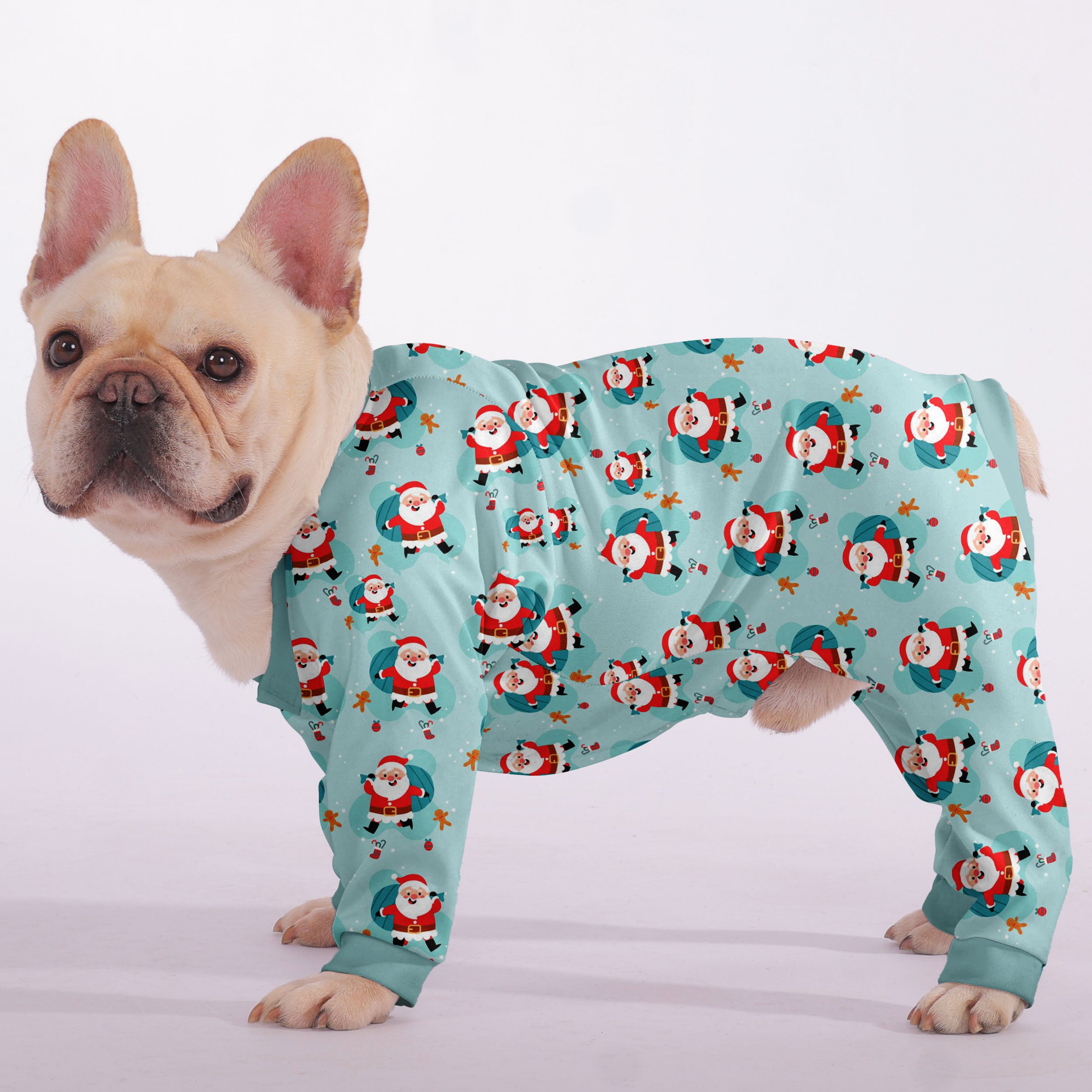 Milo French Bulldog Dog Accessory for Outdoor Adventures-fadou