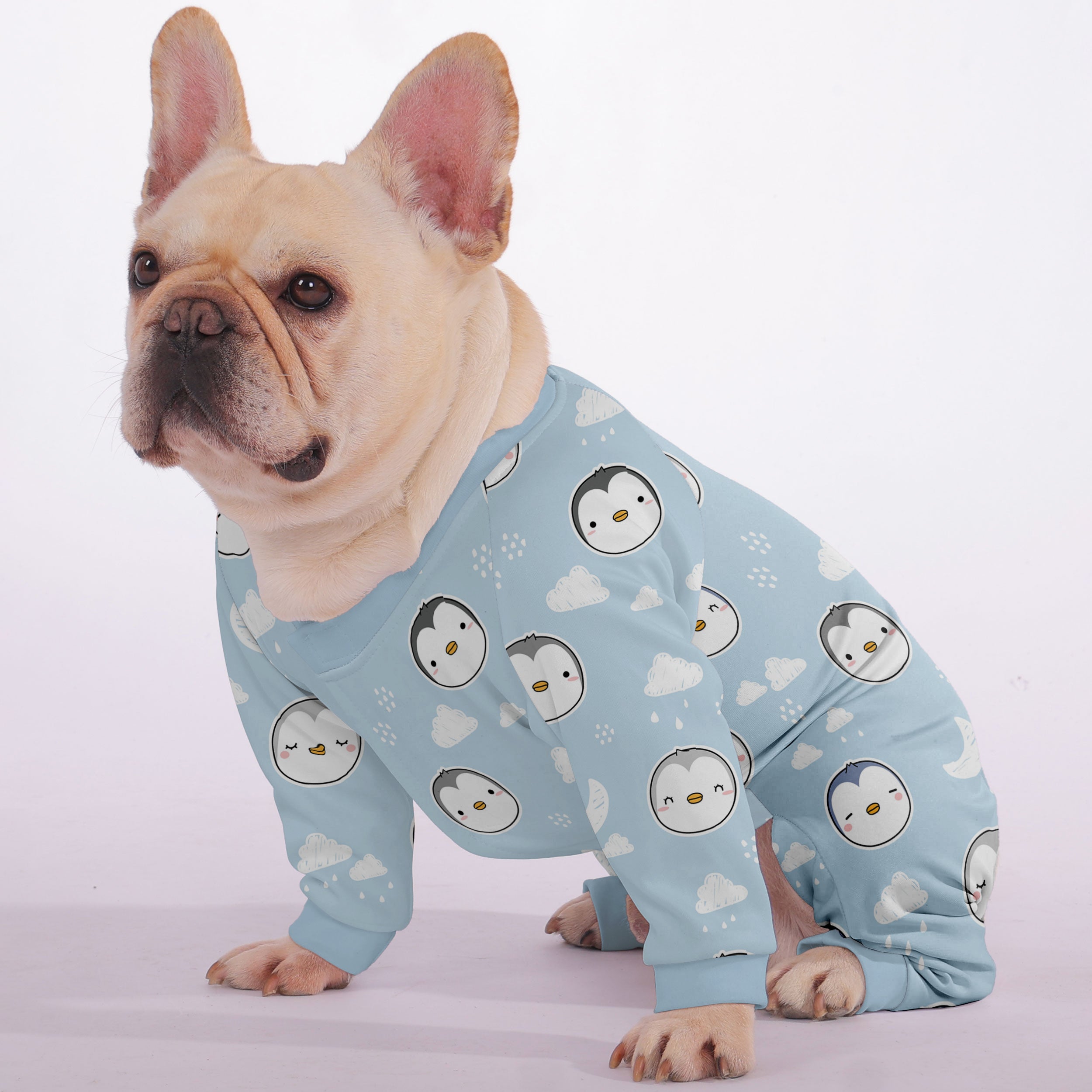 LOY French Bulldog Dog Accessory for Outdoor Adventures-fadou