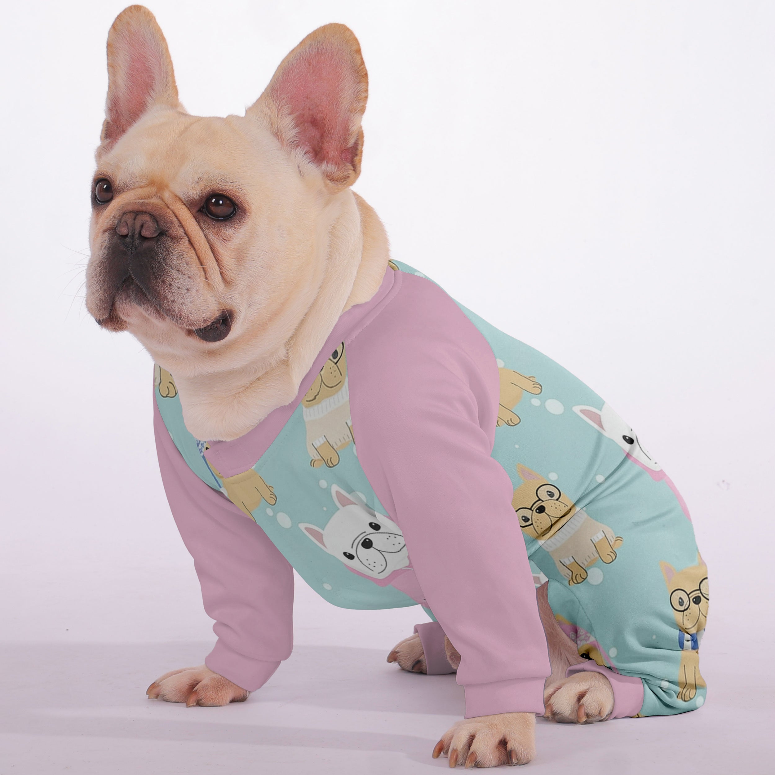 Harely French Bulldog Pet Product for Training Sessions-fadou