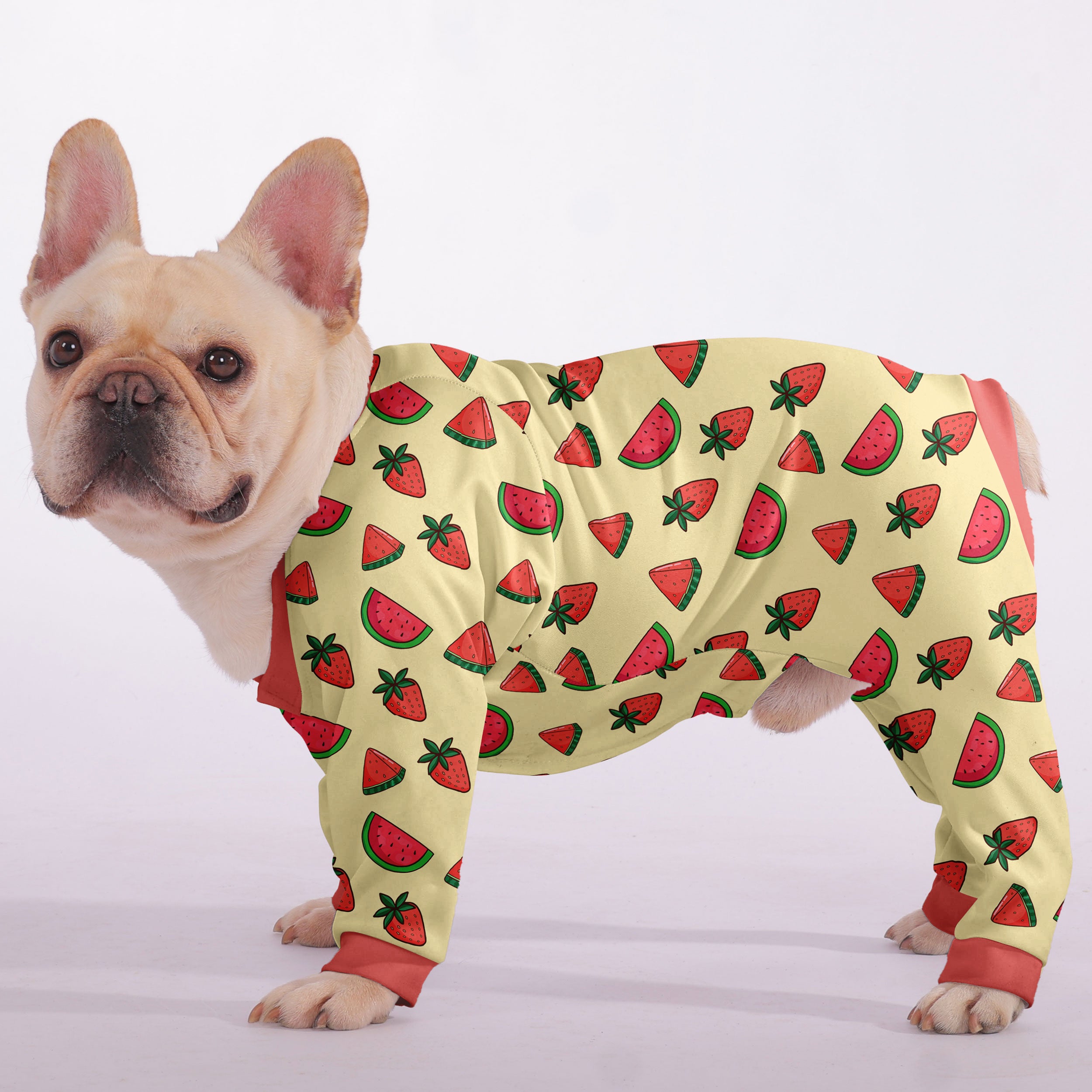 Oliver French Bulldog Dog Accessory for French Bulldogs-fadou