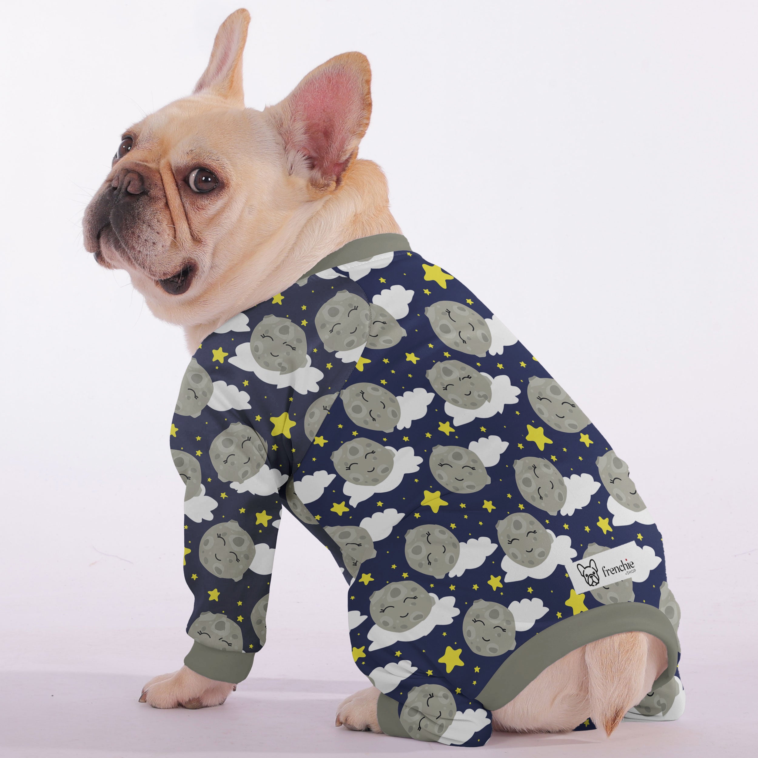Finn French Bulldog Dog Accessory for Outdoor Adventures-fadou