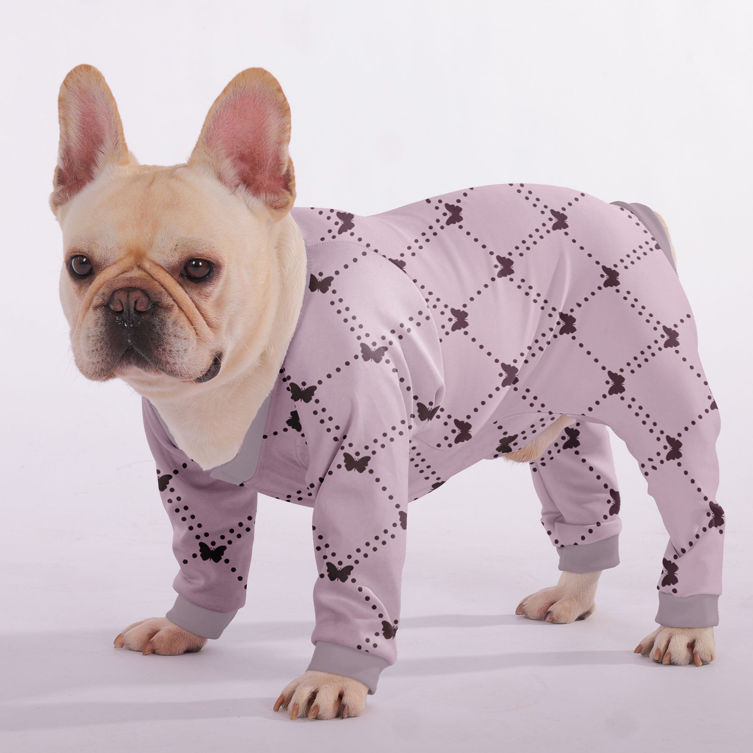 Quinn French Bulldog Dog Accessory for Flat-Face Breeds-fadou