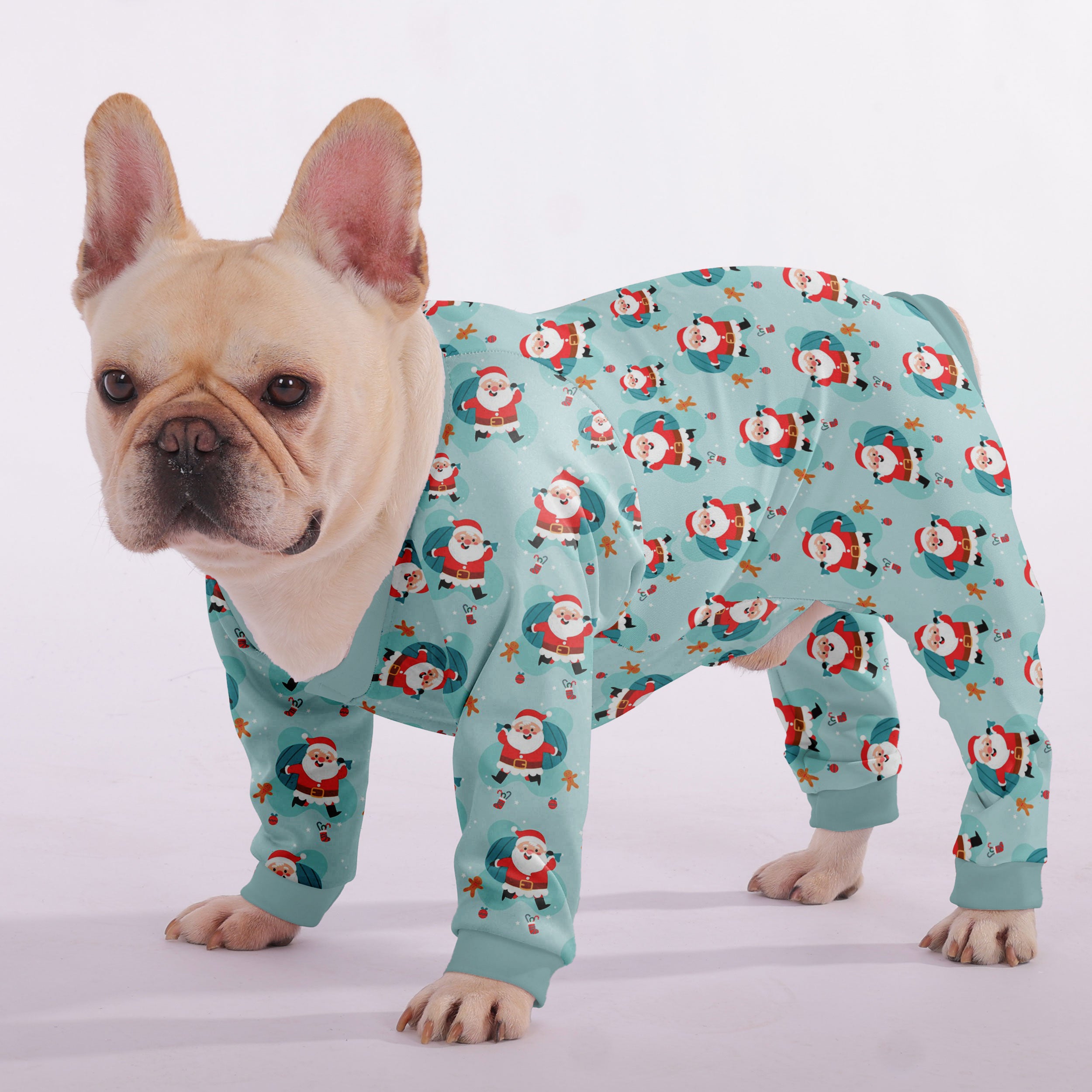 Milo French Bulldog Dog Accessory for Outdoor Adventures-fadou