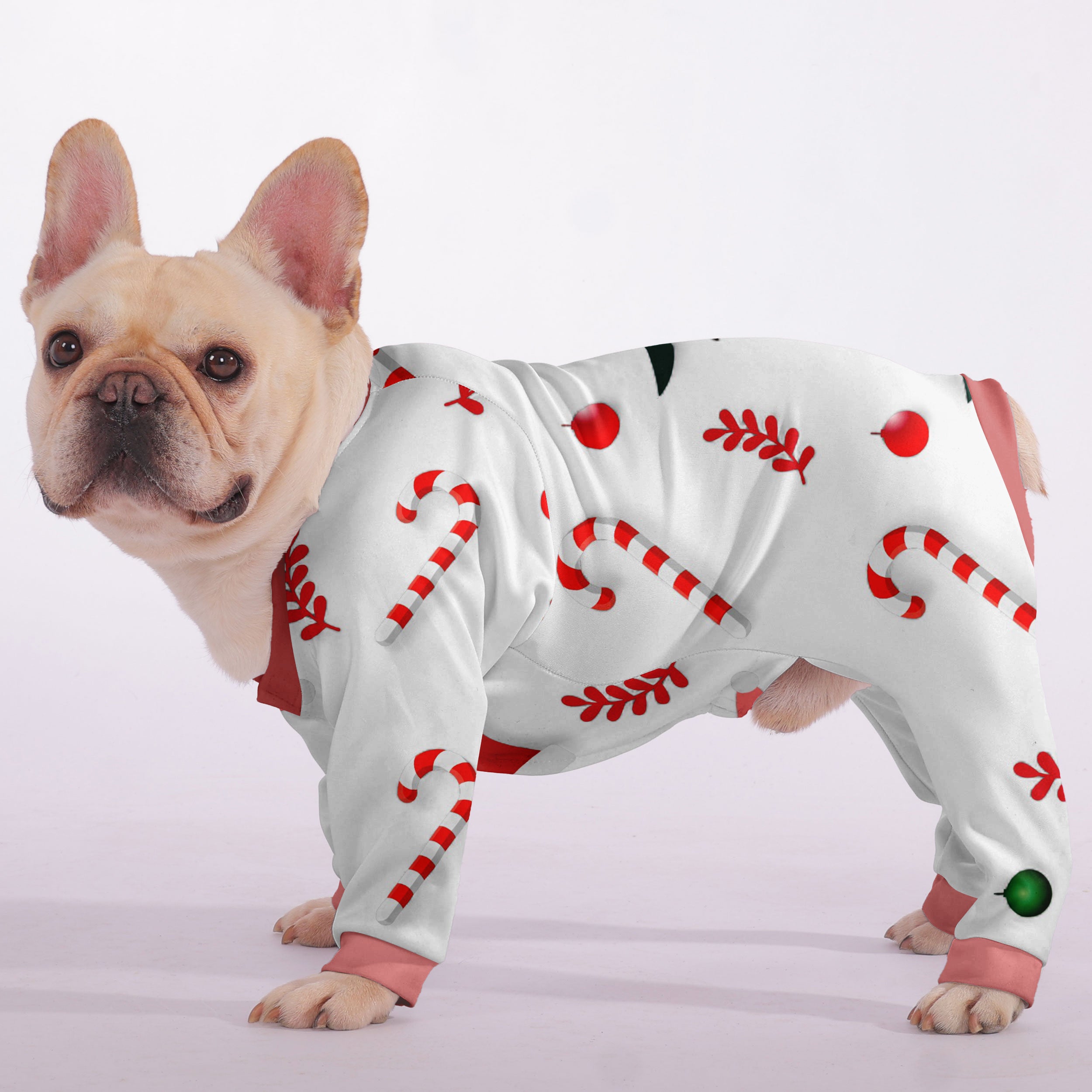 Zen French Bulldog Dog Accessory for Brachycephalic Dogs-fadou