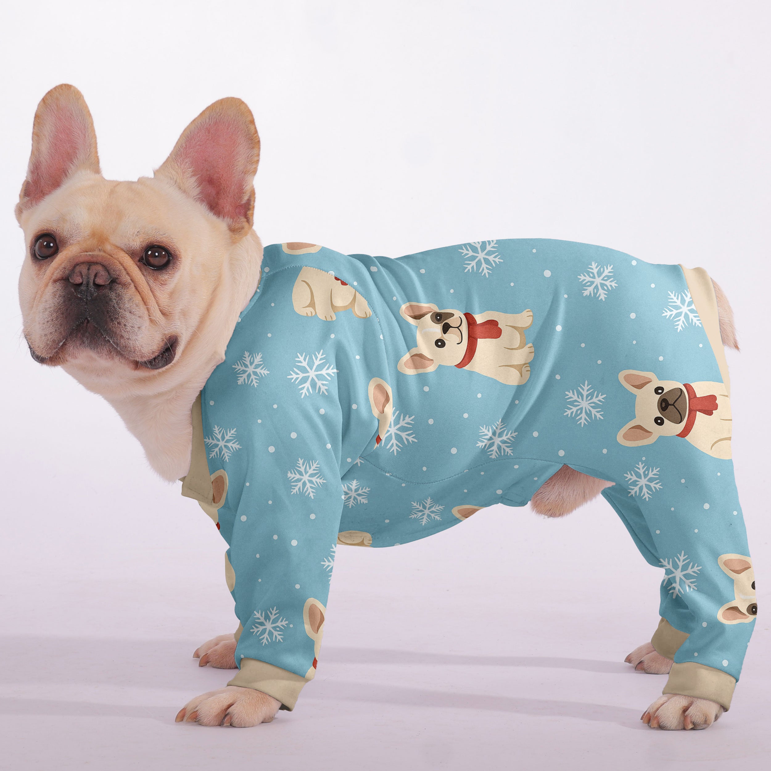 Scout French Bulldog Dog Accessory for Training Sessions-fadou