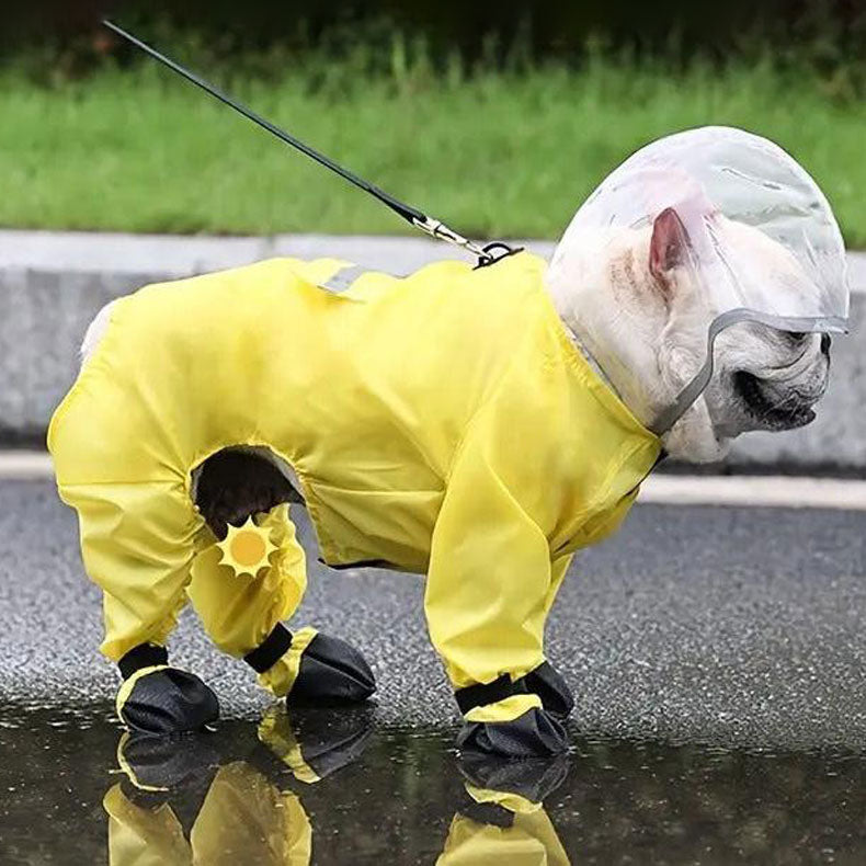 AquaTail French Bulldog Waterproof Coat for Playtime Fun-fadou