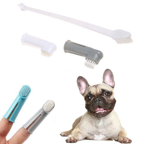 Toothbrush French Bulldog Item for Frenchie Enthusiasts-fadou
