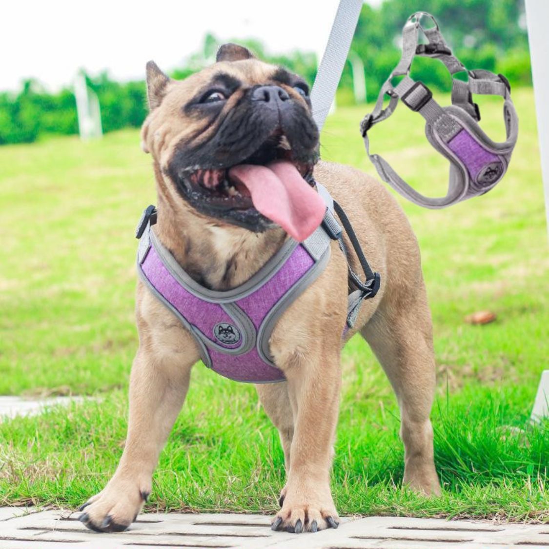 Reflective Adjustable Walking Harness for Outdoor Adventures-fadou