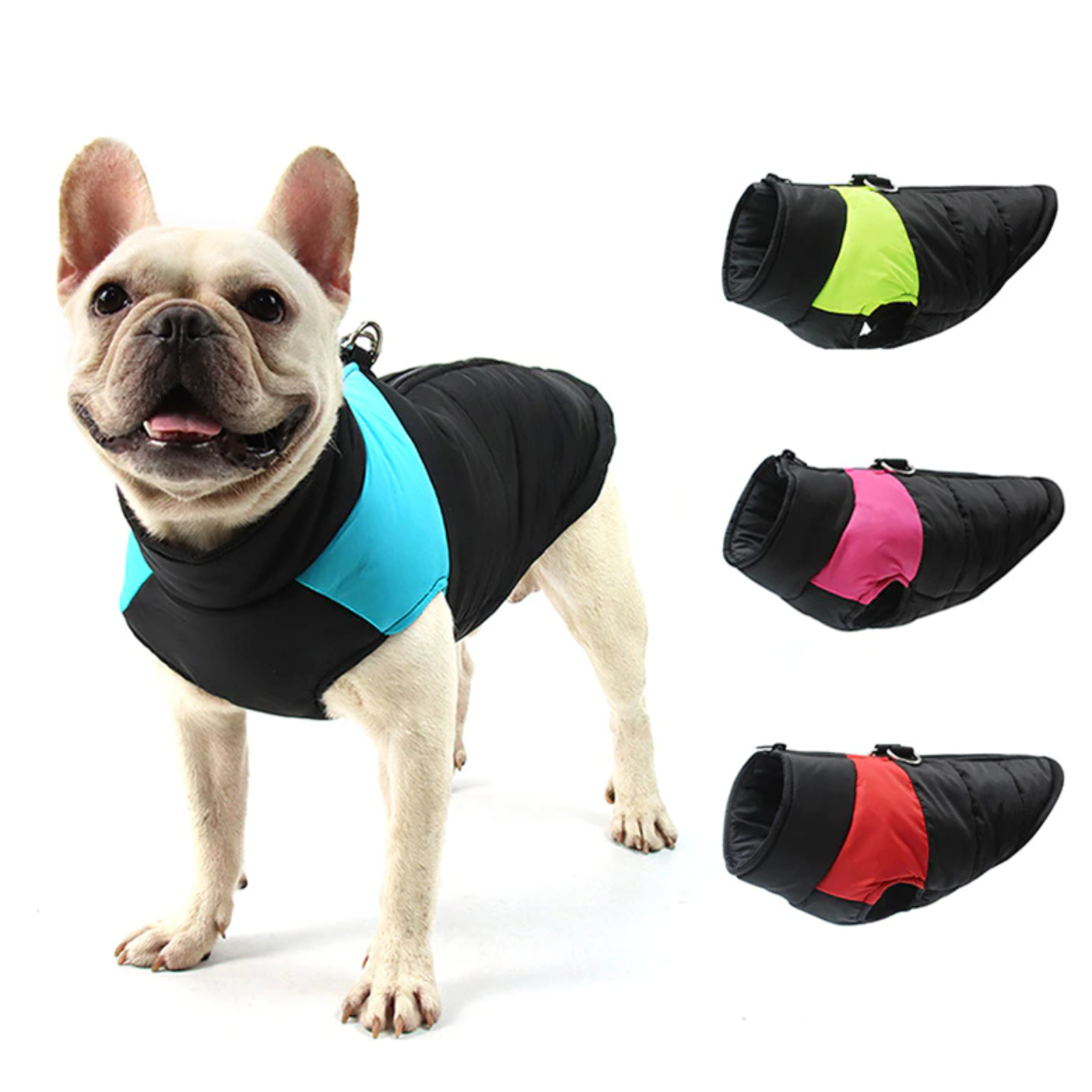 French Bulldog Waterproof Winter Jacket for Cozy Nights-fadou