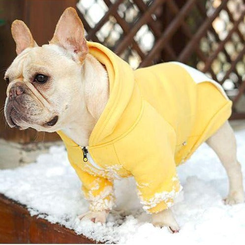 French Bulldog Warm Pet Parent Pullover for Pet Culture-fadou