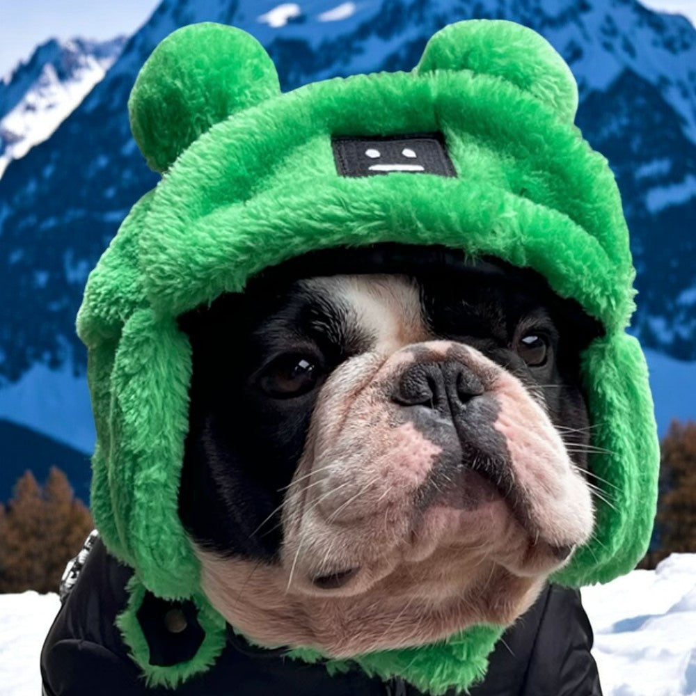 French Bulldog Winter Sun Headwear for Training Sessions-fadou