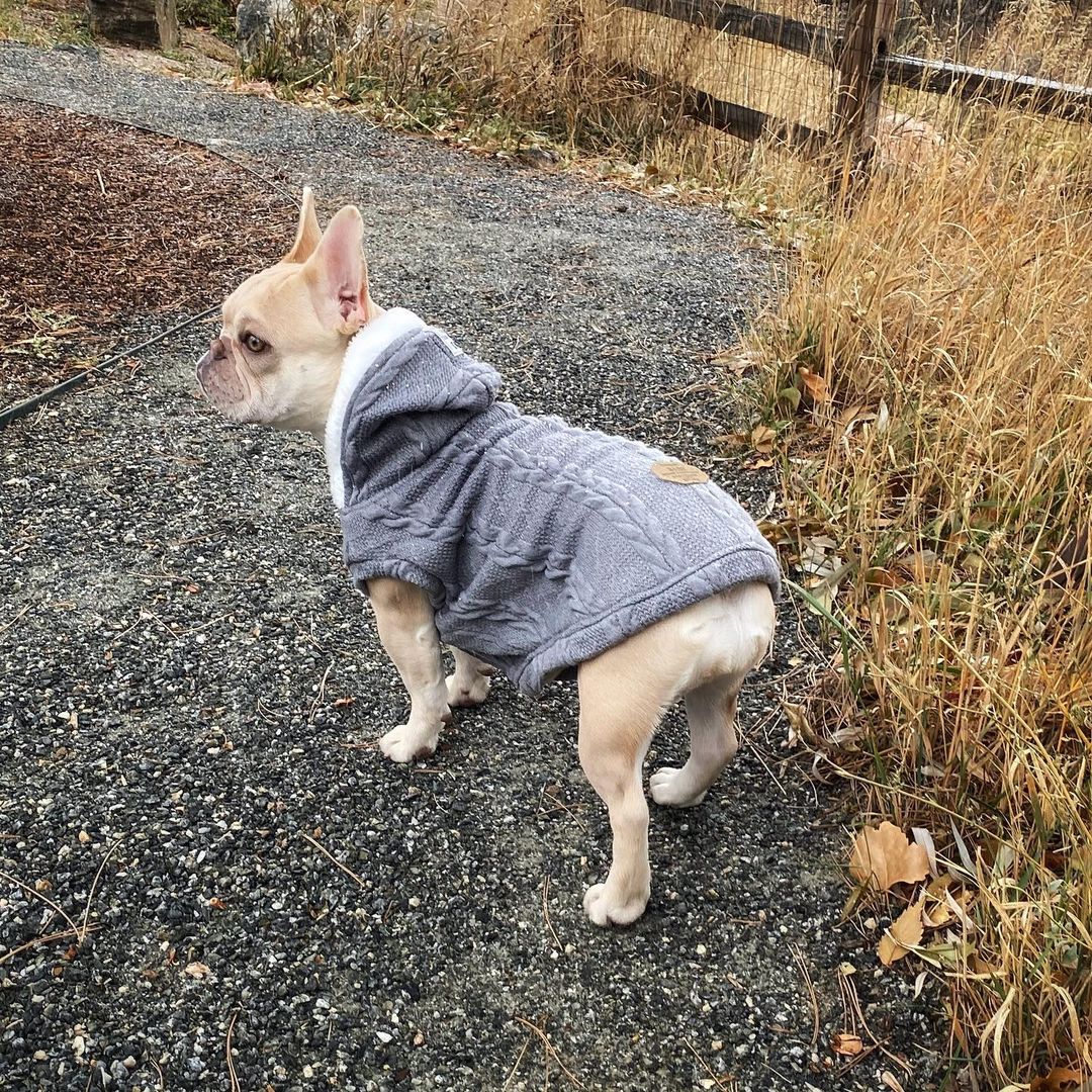 French Bulldog Warm Knitwear for Brachycephalic Dogs Gifts-fadou
