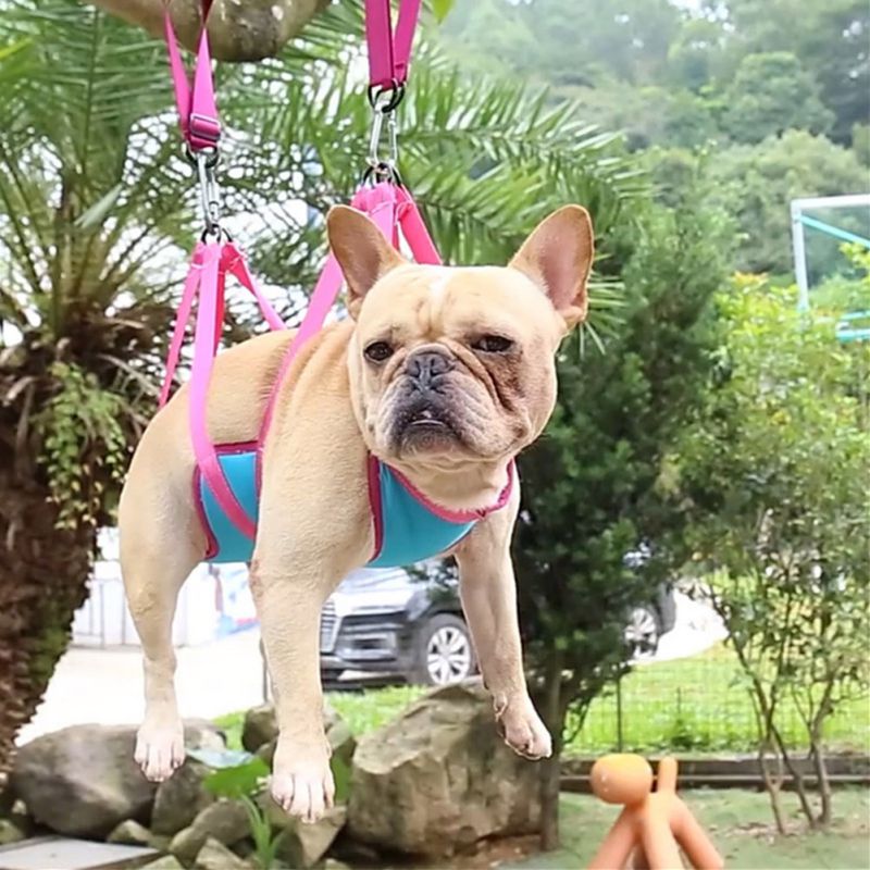 Frenchie Nail Trimming Hammock Grooming Restraint Bag for Bulldog Owners-fadou