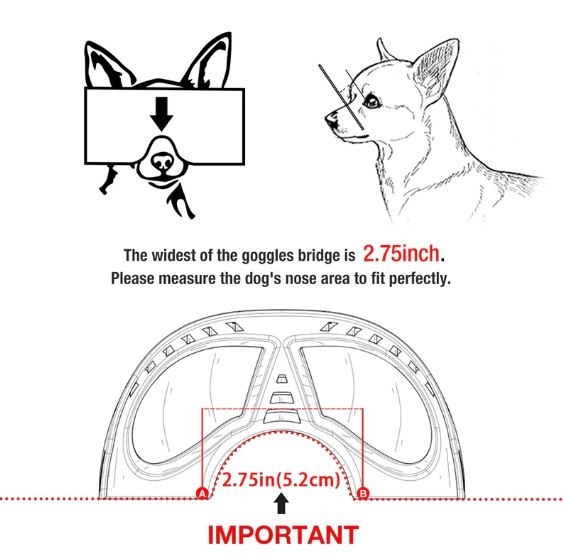 French Bulldog Windproof Pet Product for Training Sessions-fadou