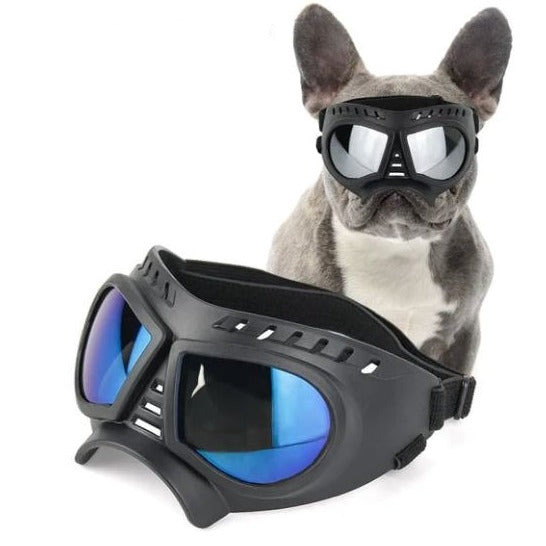 French Bulldog Windproof Pet Product for Training Sessions-fadou