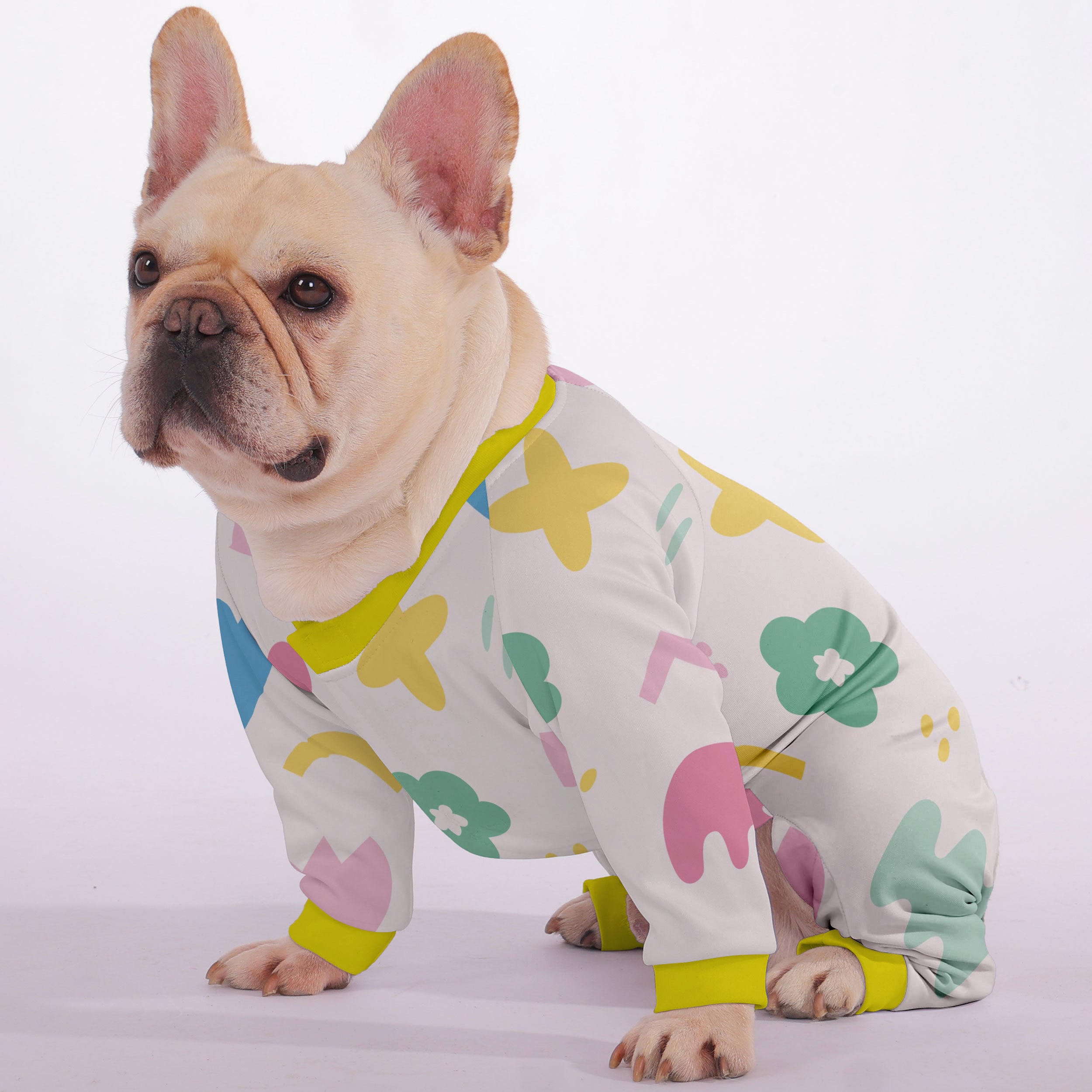 Riley French Bulldog Pet Product for Brachycephalic Dogs-fadou