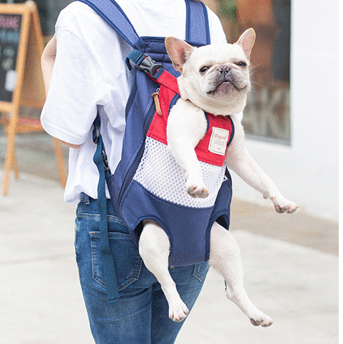 Frenchie Backpack V4 for Bulldog Fans for French Bulldogs-fadou