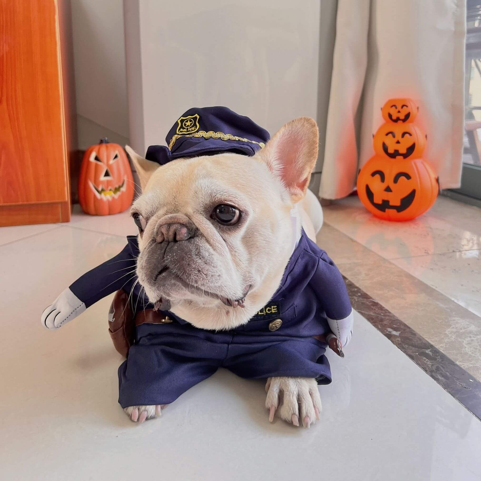 Halloween Funny Halloween Cosplay for Training Sessions-fadou