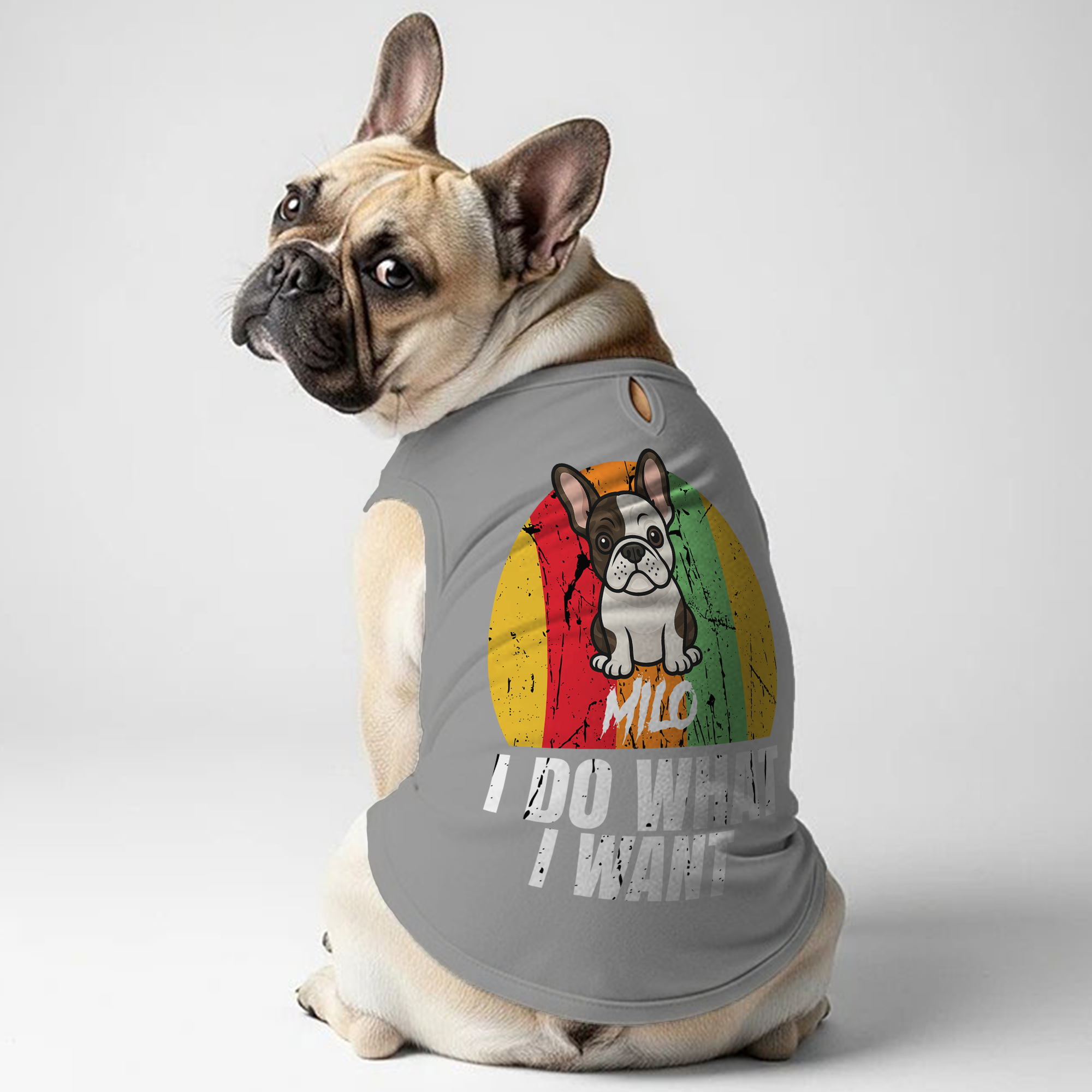 Custom Personalized Graphic Tee for Frenchie Enthusiasts-fadou