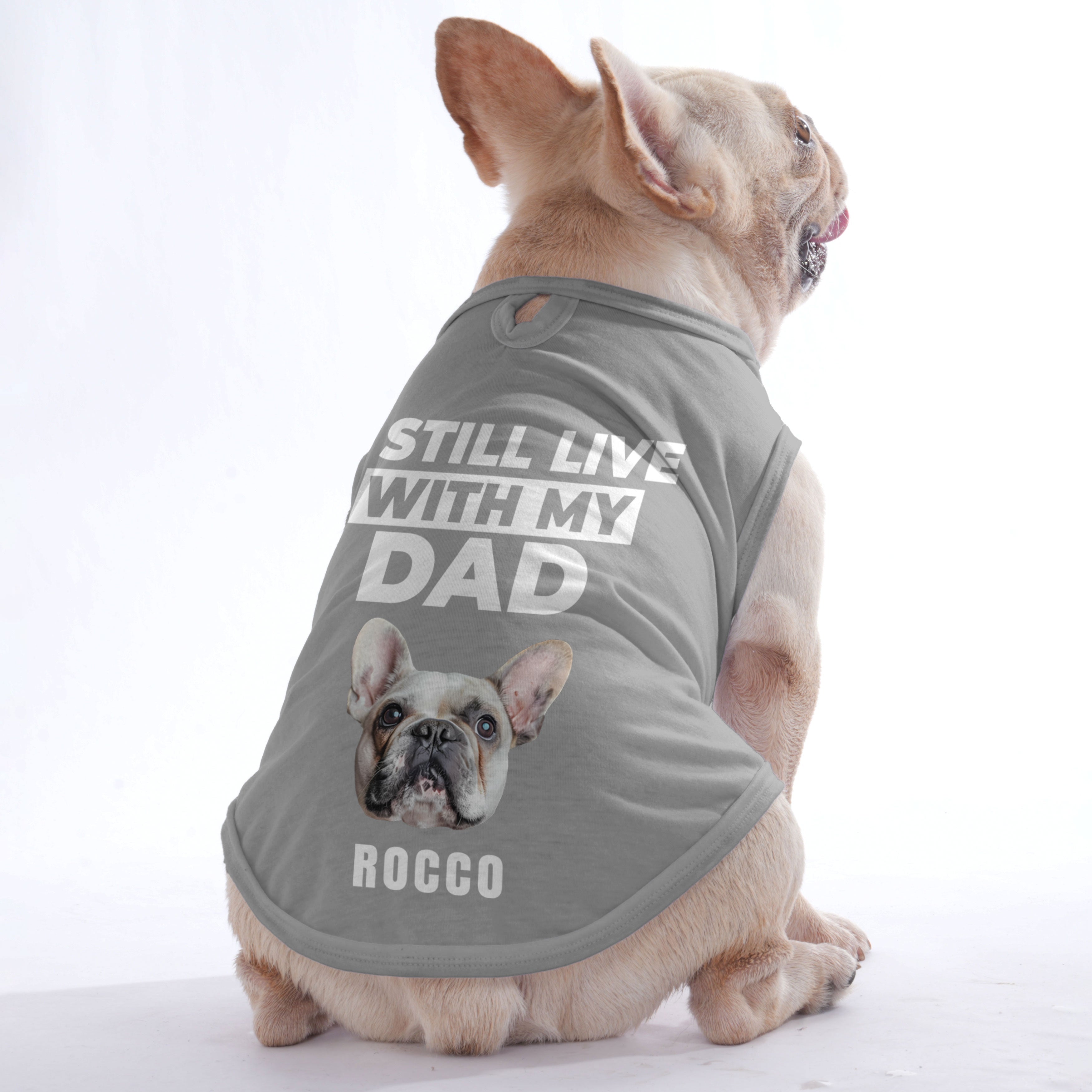 Custom Personalized Dog Lover Tee for Frenchie Enthusiasts-fadou