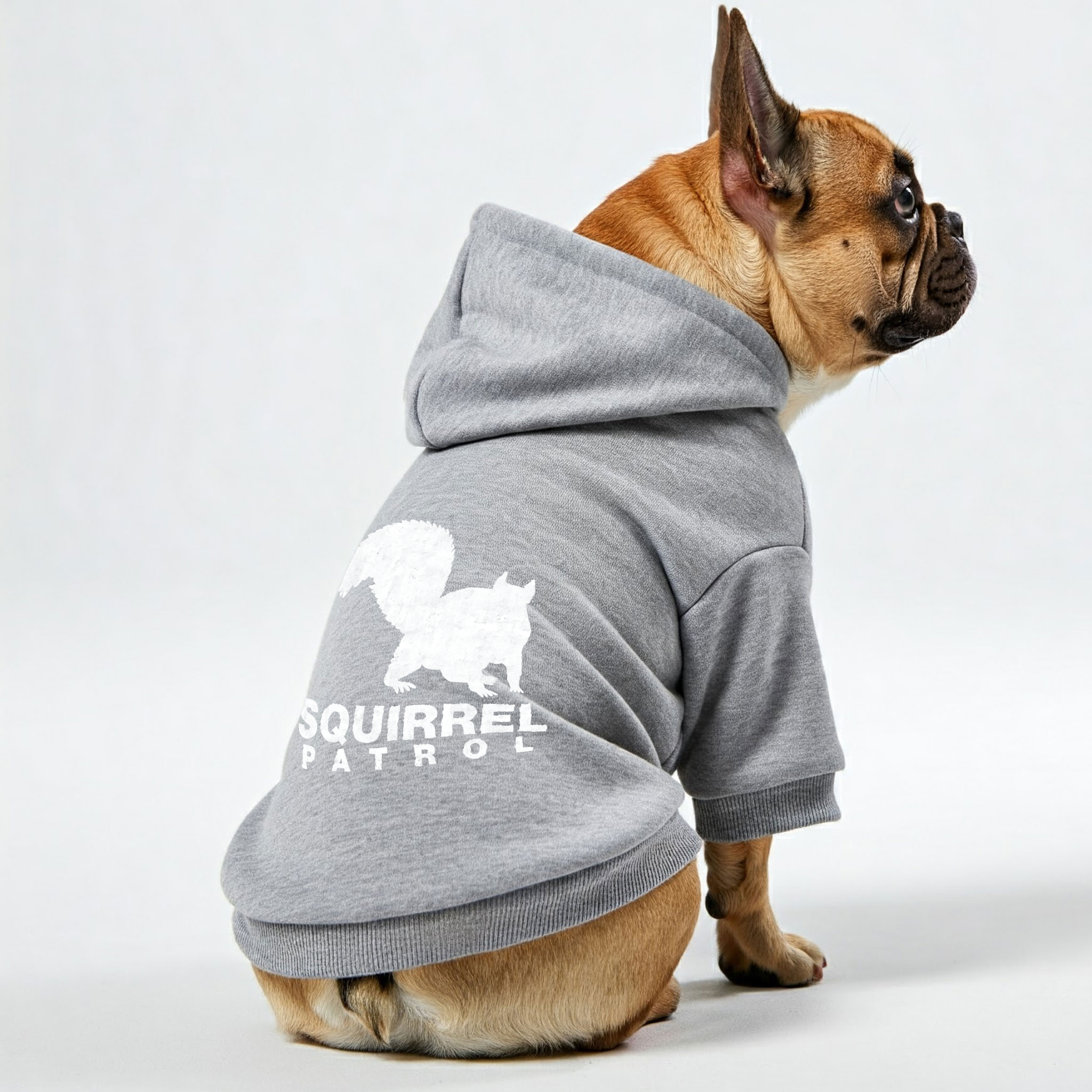 Squirrel French Bulldog Dog Hoodie for Training Sessions-fadou