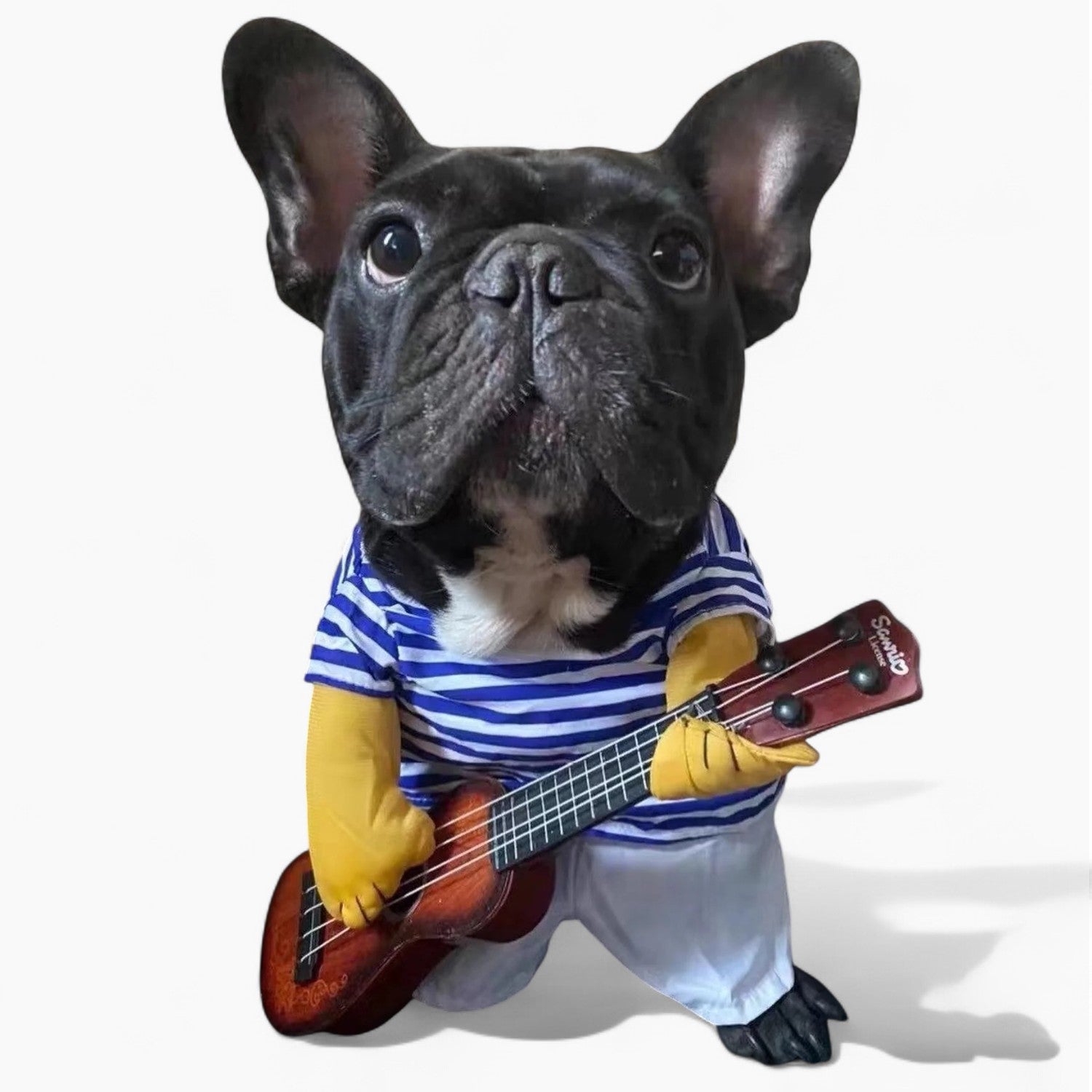 The Guitarist - Halloween Costume for Frenchie Enthusiasts-fadou
