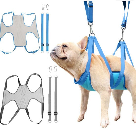 Easy French Bulldog Grooming Brush for Training Sessions-fadou