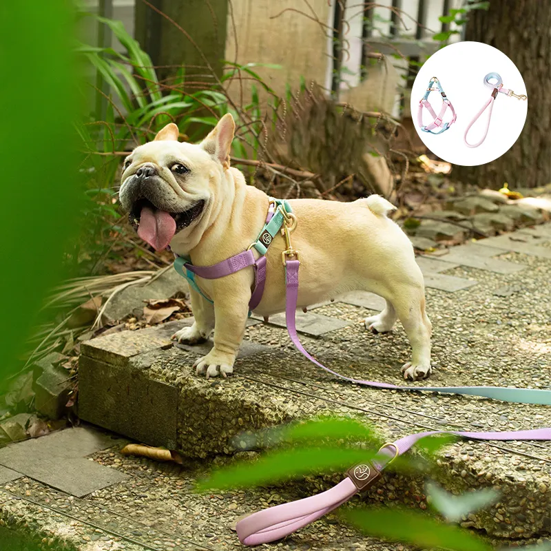 French Bulldog No-Pull Dog Harness for Short-Nosed Dogs-fadou