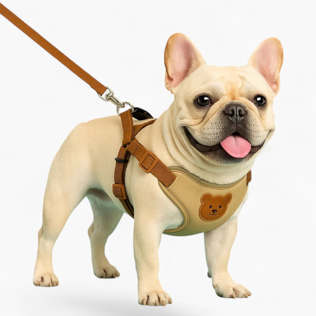 French Bulldog Soft No-Pull Vest for Outdoor Adventures-fadou