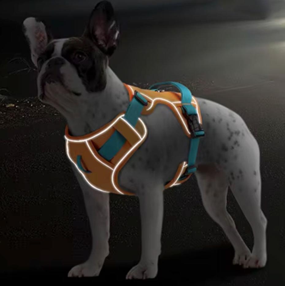 Reflective No-Pull Walking Harness for Short-Nosed Dogs-fadou
