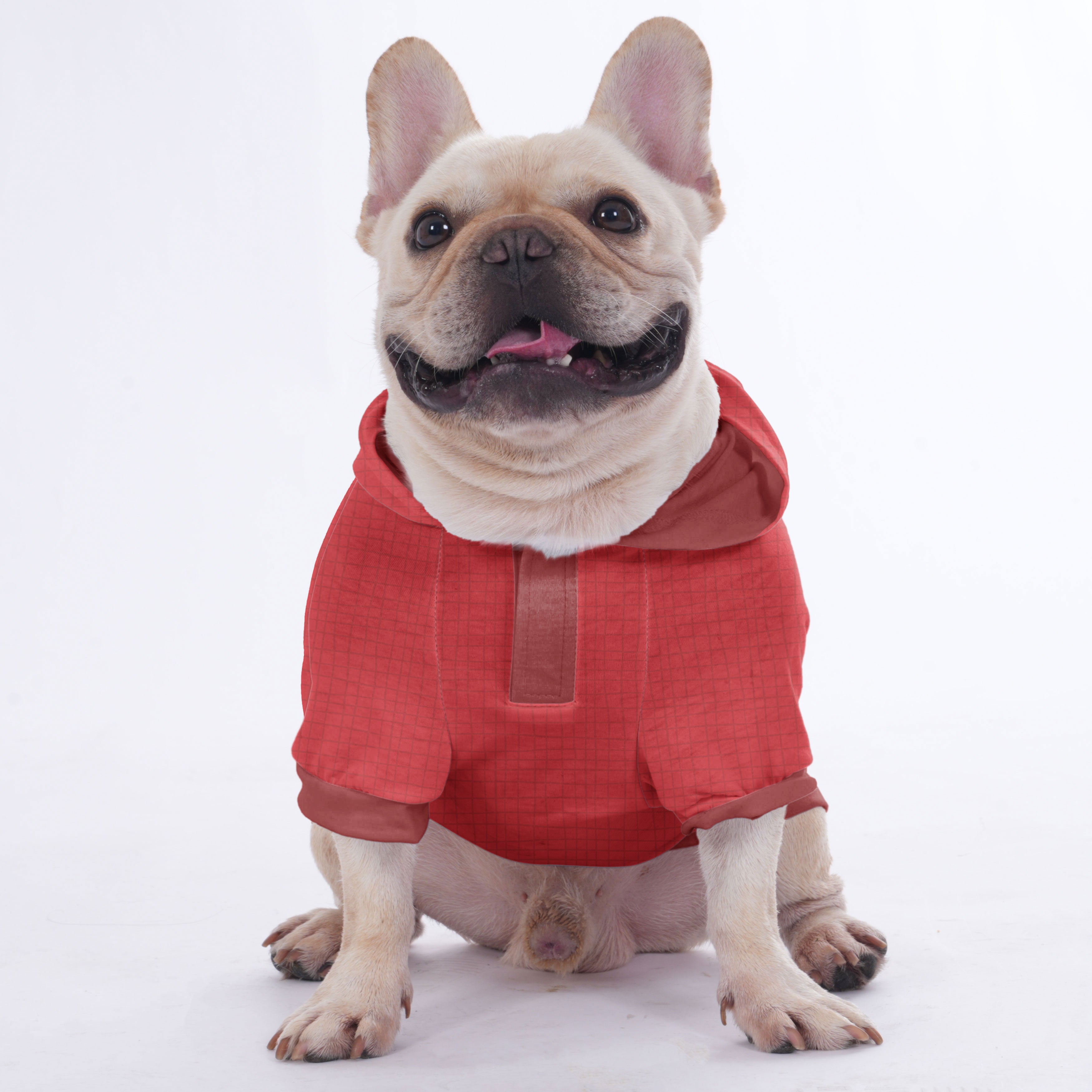 Dove French Bulldog Fleece Hoodie for Training Sessions-fadou