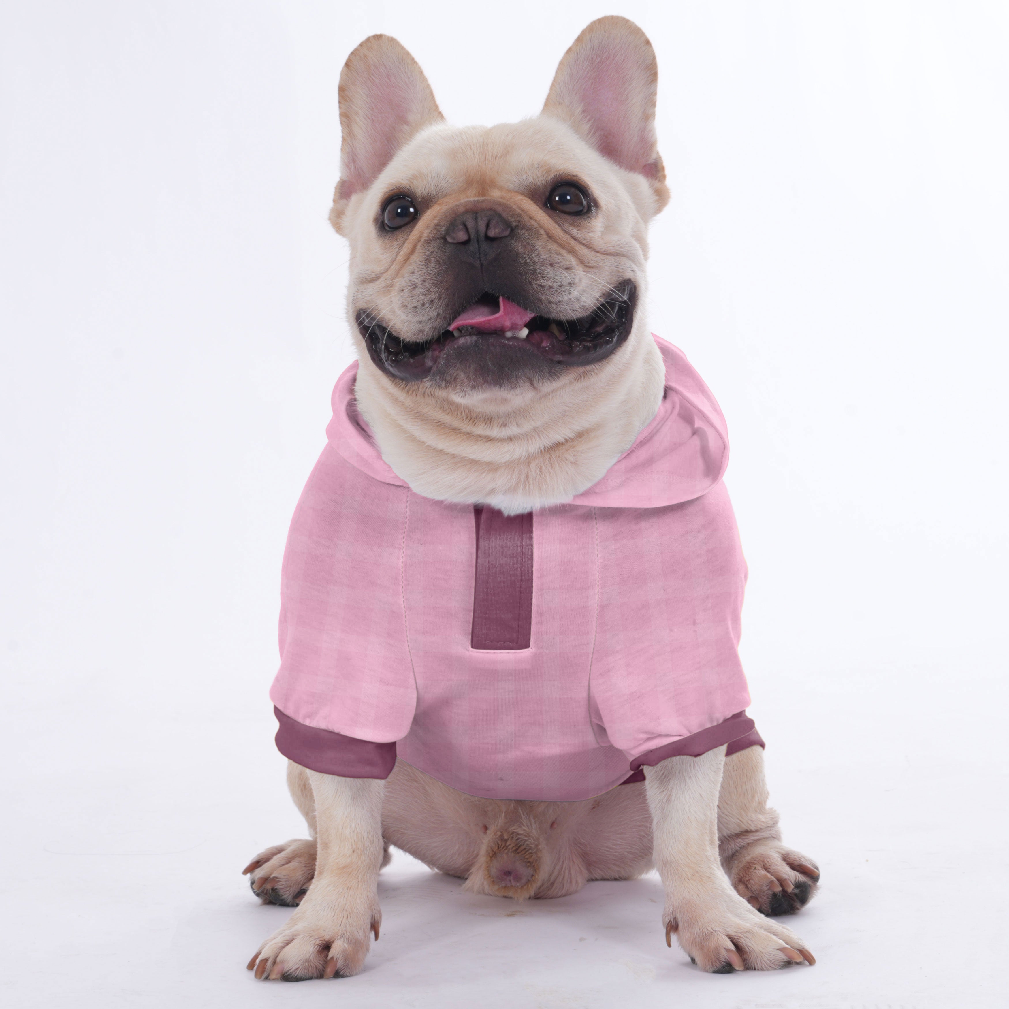 Ames French Bulldog Pet Sweatshirt for Short-Nosed Dogs-fadou