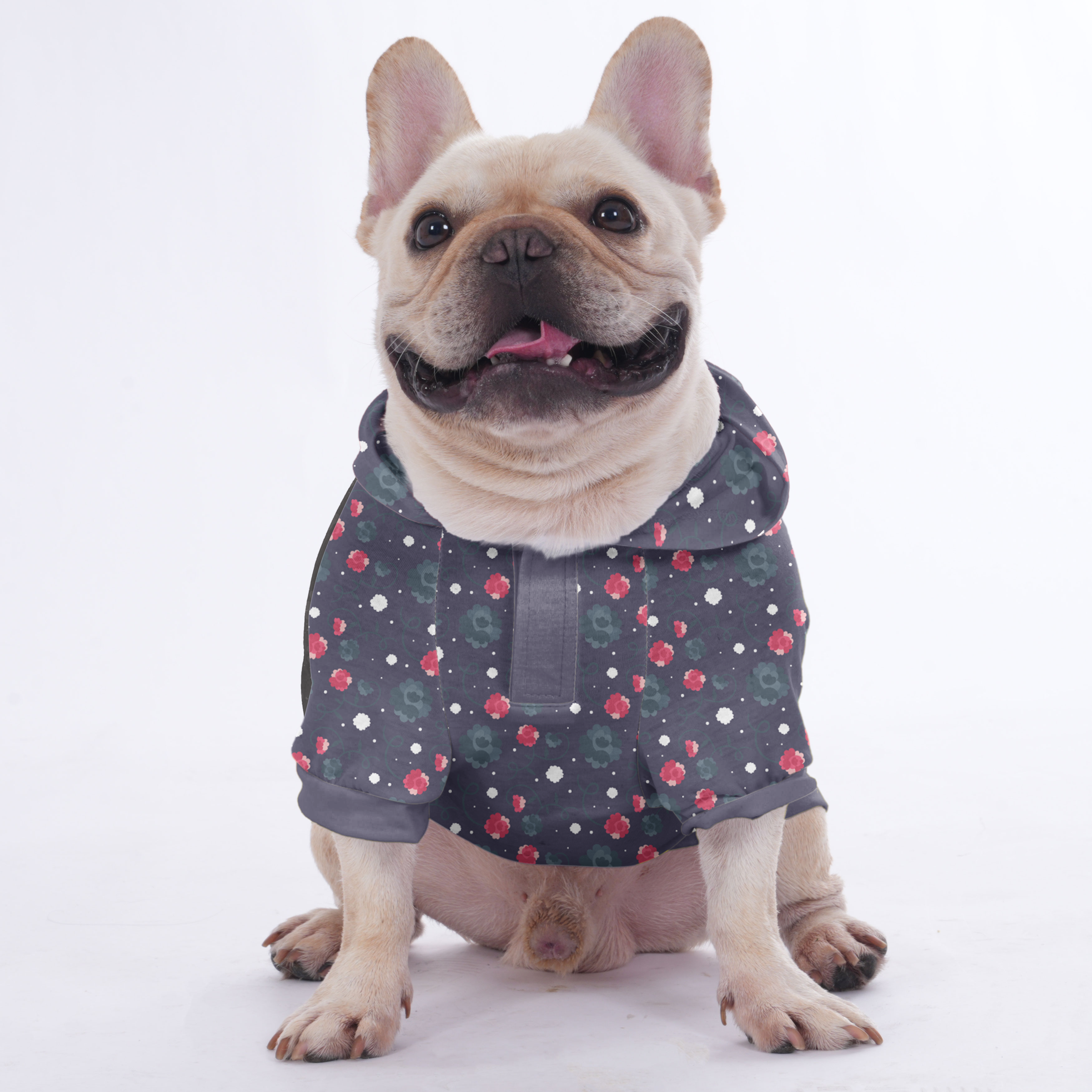 Fur French Bulldog Pet Sweatshirt for Training Sessions-fadou