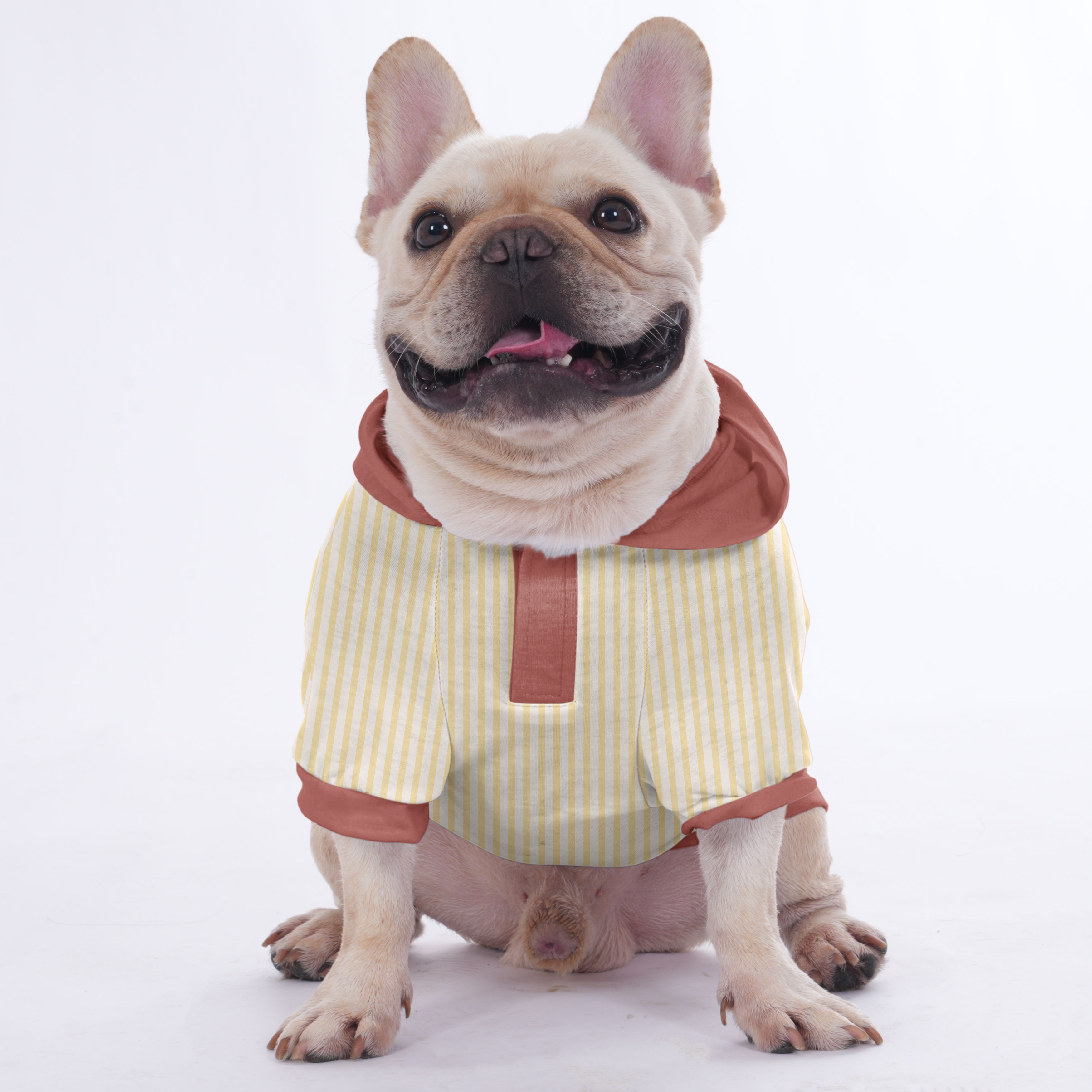 All French Bulldog Pet Sweatshirt for Training Sessions-fadou