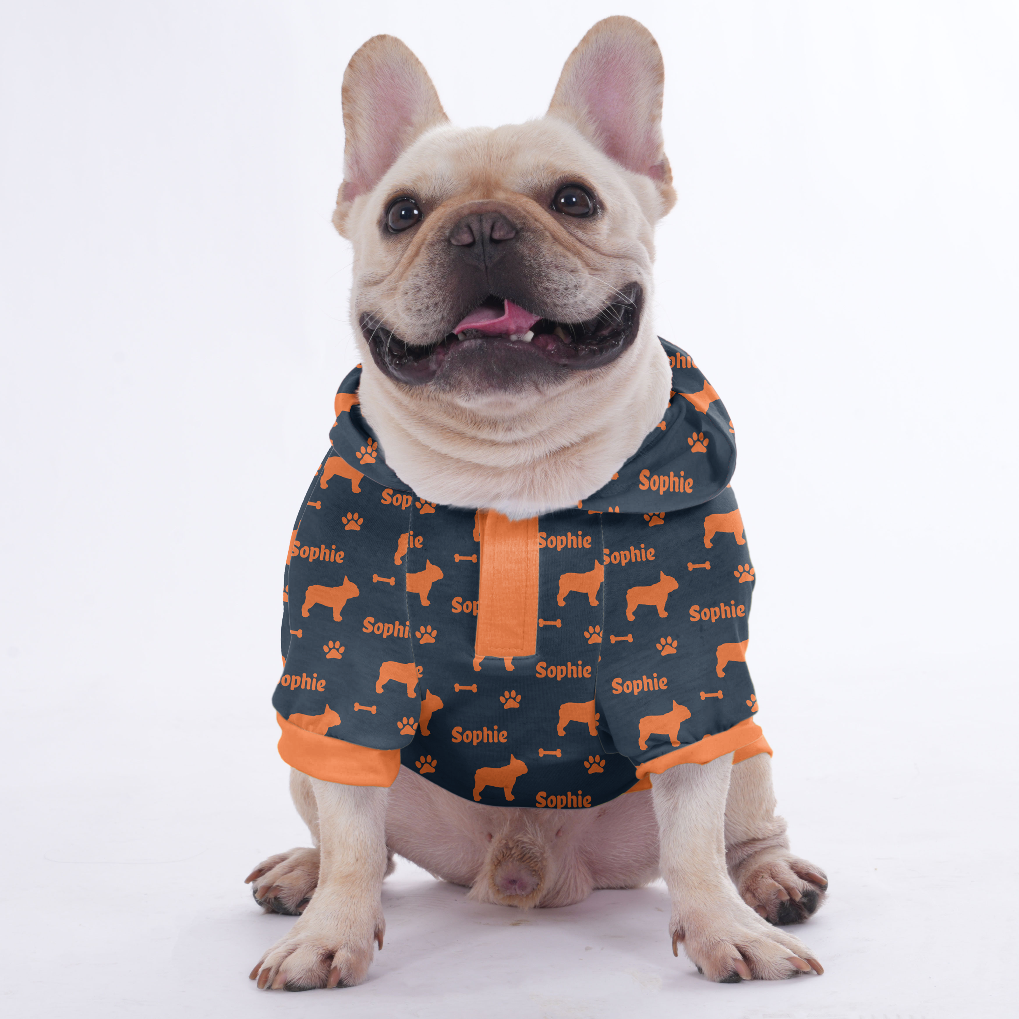 French Bulldog Custom Pet Sweatshirt for Travel Comfort-fadou