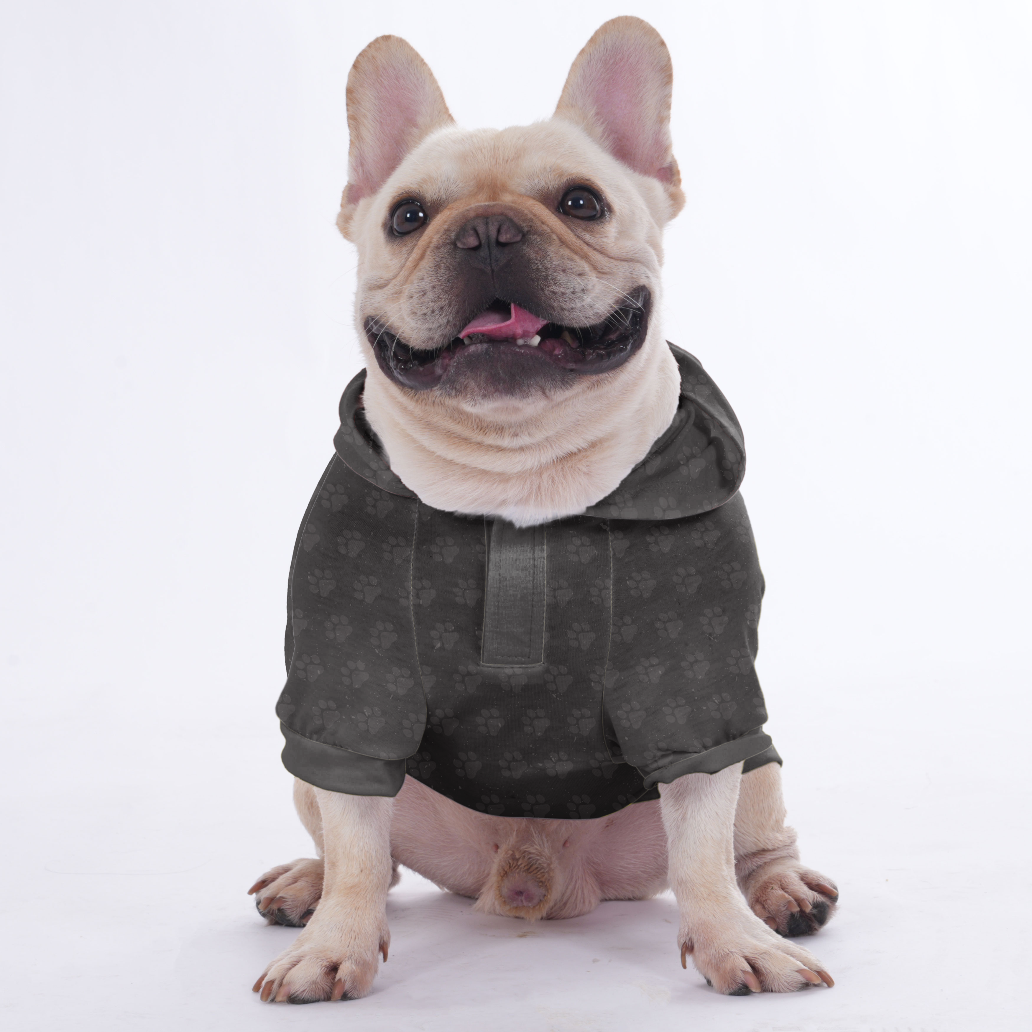 If French Bulldog Pet Sweatshirt for Outdoor Adventures-fadou