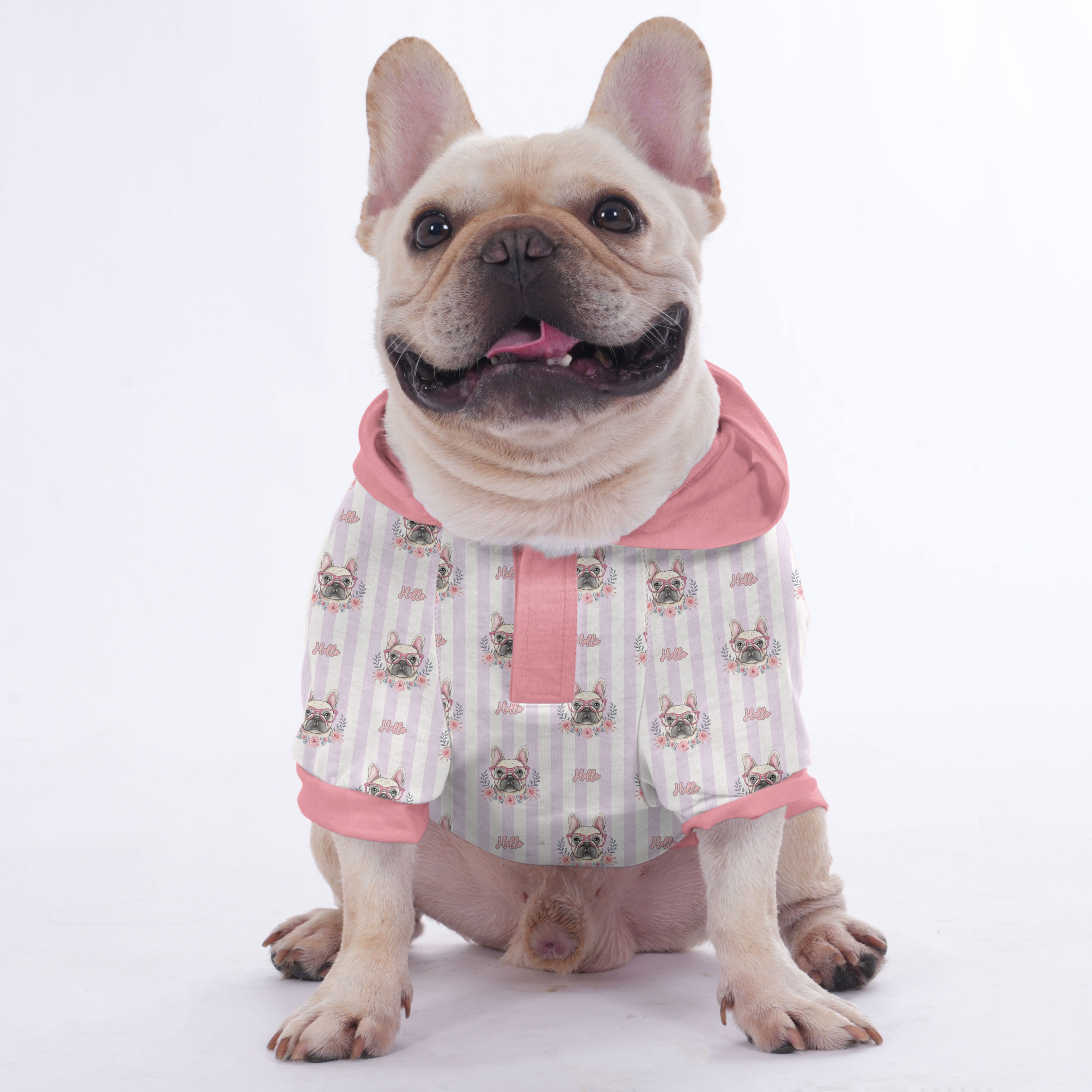 Chowder French Bulldog Pet Sweatshirt for Outdoor Adventures-fadou