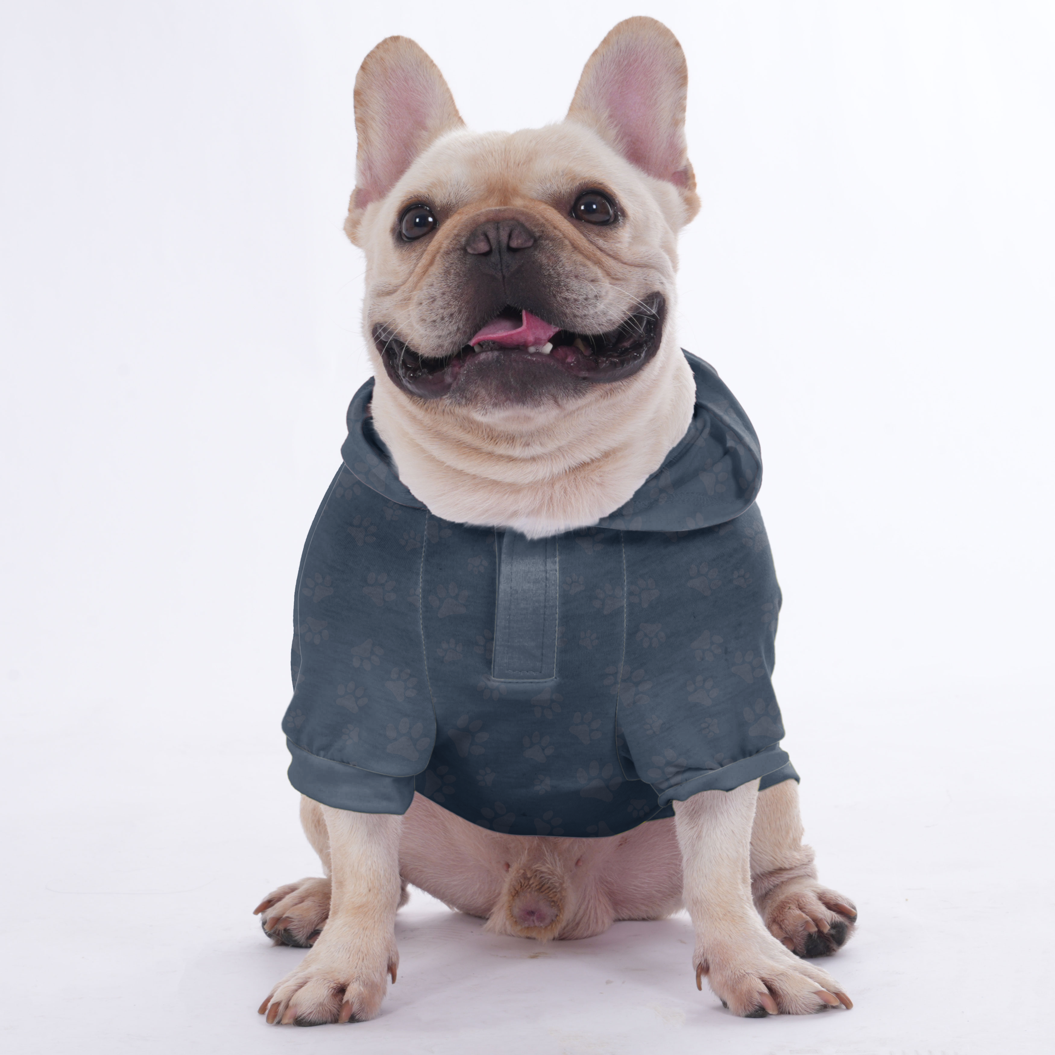 Customized French Bulldog Cozy Hoodie for Travel Comfort-fadou