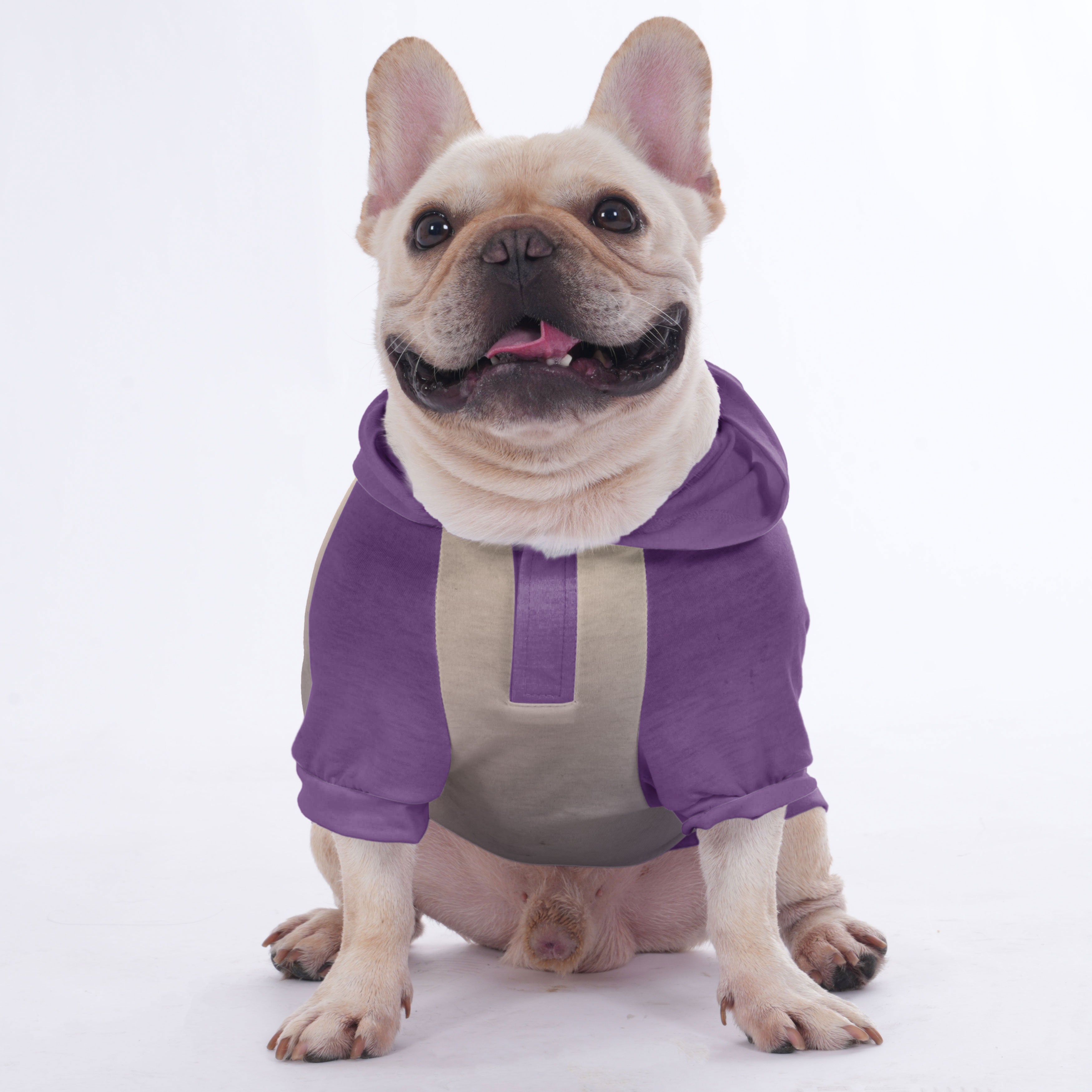 French Bulldog Adorable Pet Sweatshirt for Flat-Face Breeds-fadou