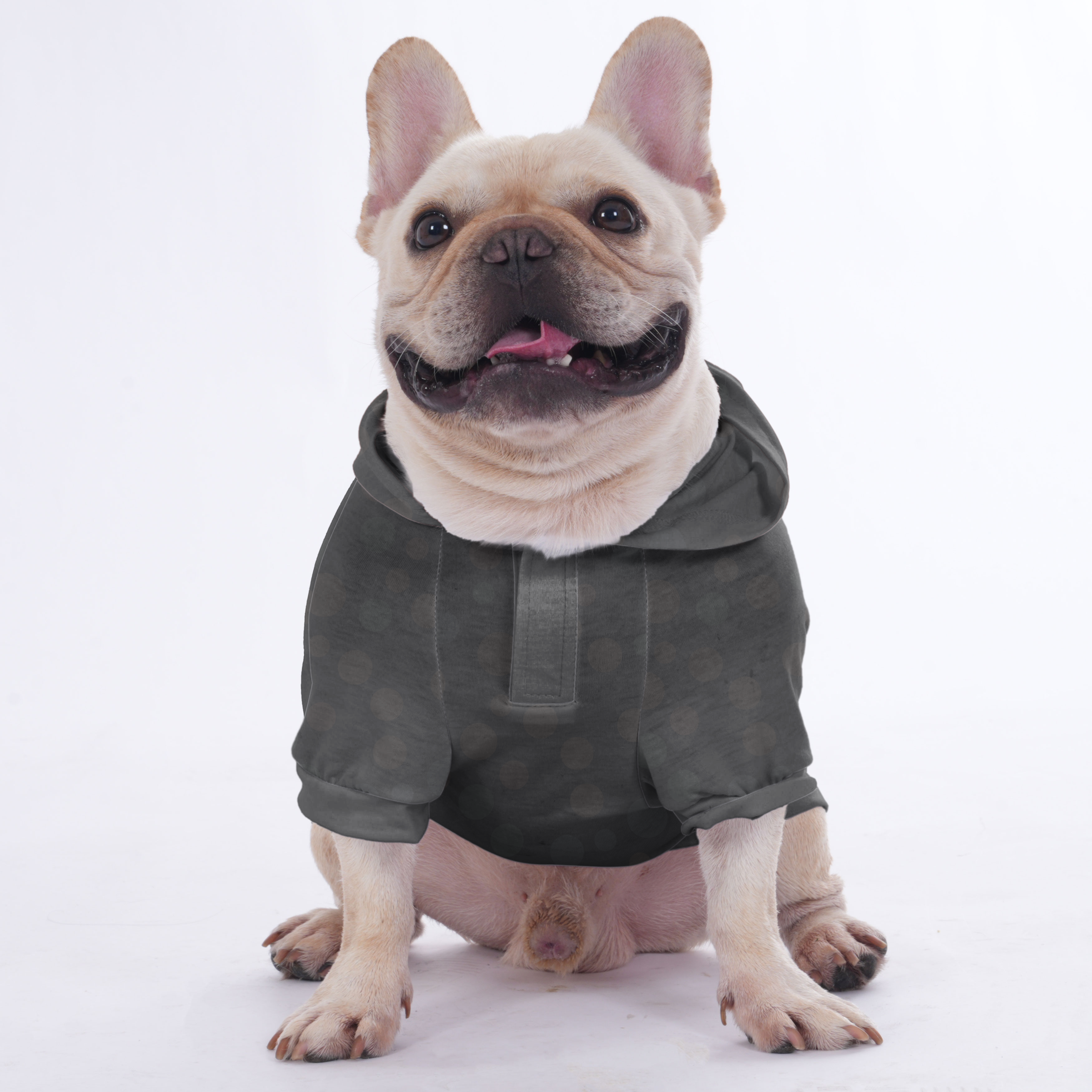 Anti French Bulldog Cozy Hoodie for Brachycephalic Dogs-fadou