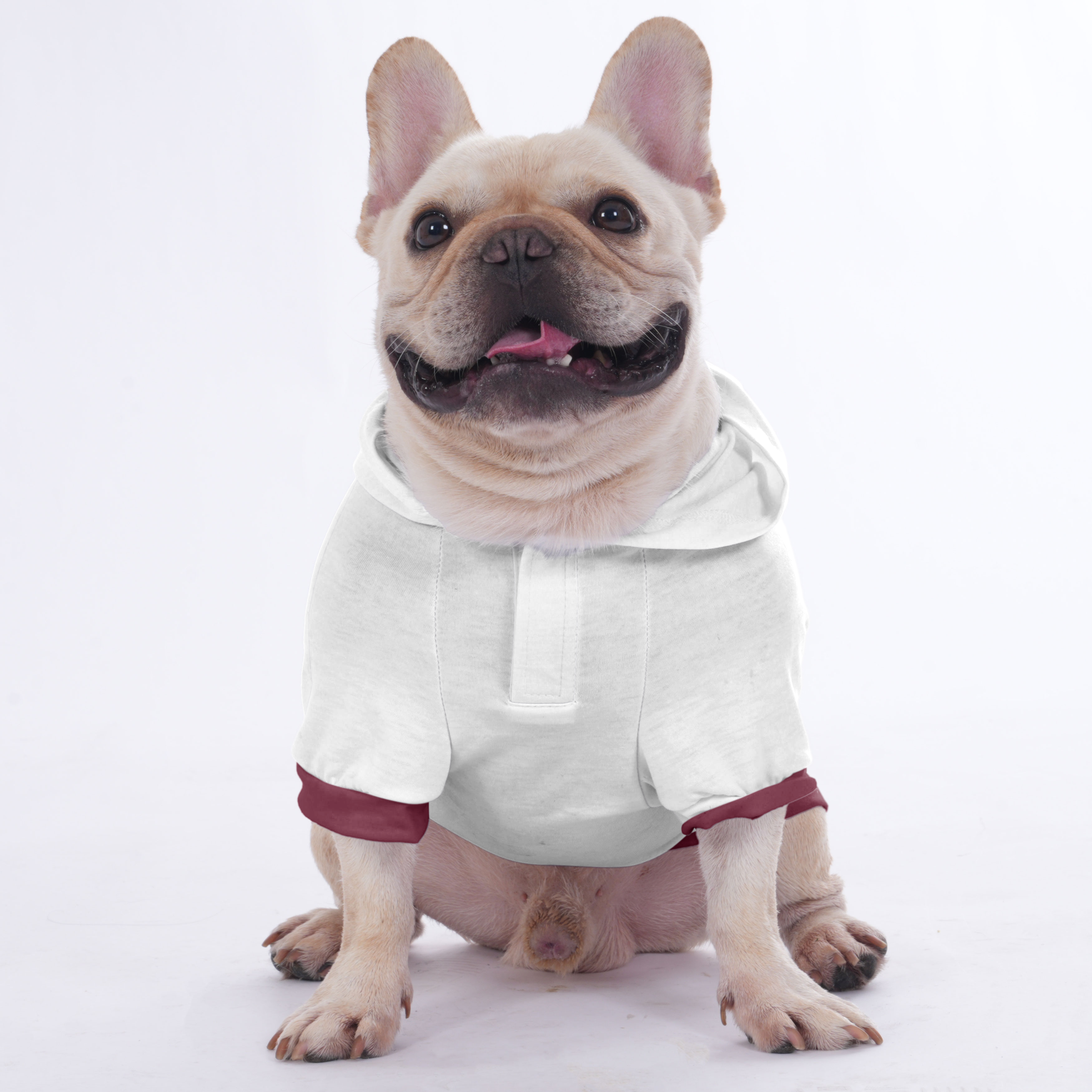 Marley French Bulldog Pet Sweatshirt for Flat-Face Breeds-fadou
