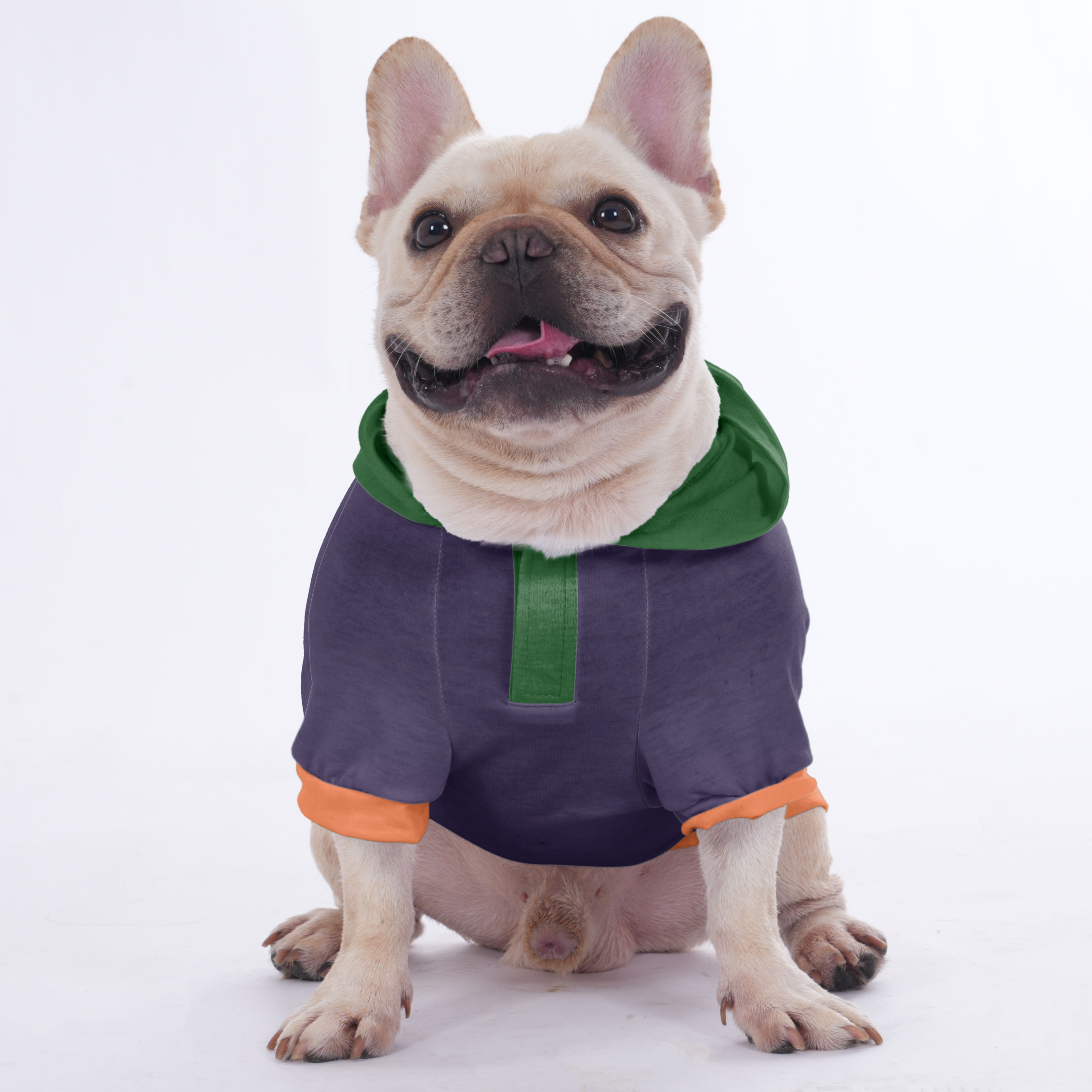 French Bulldog Halloween Cozy Hoodie for Short-Nosed Dogs-fadou