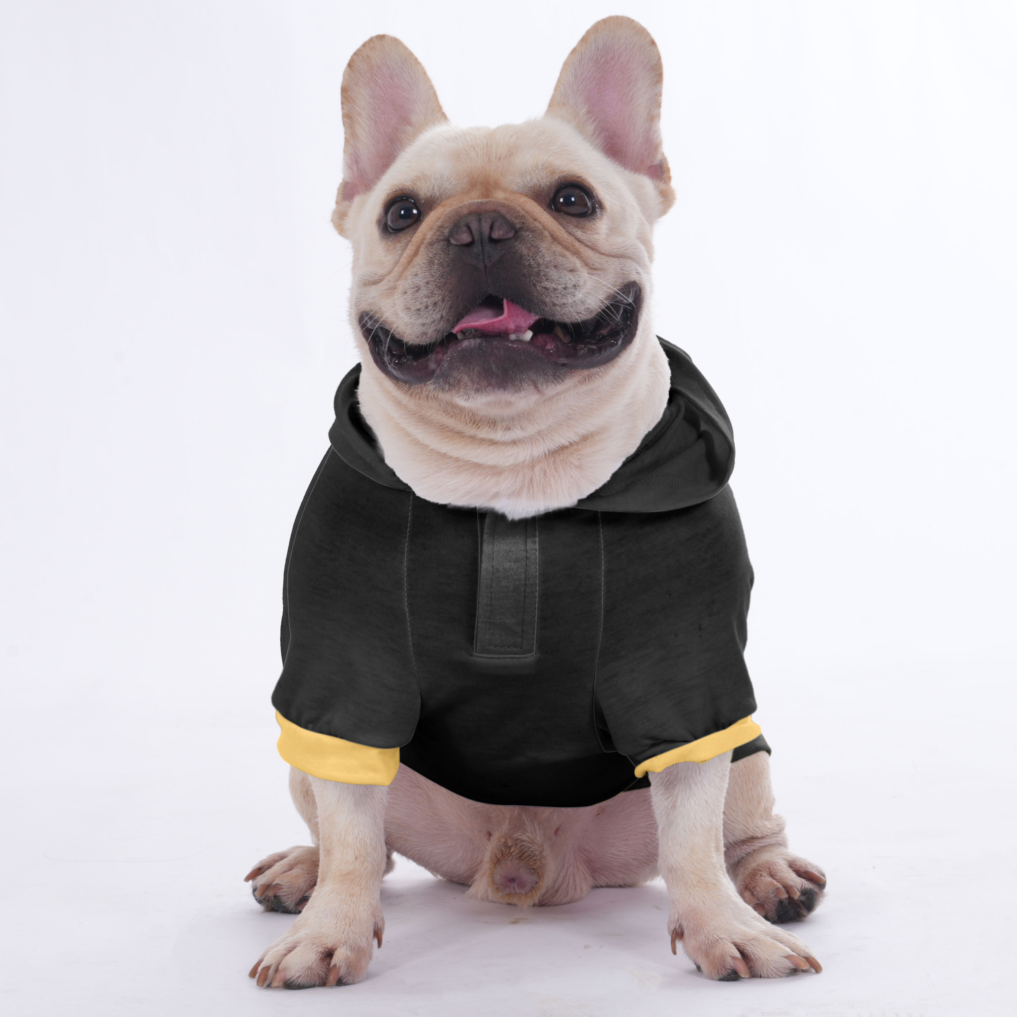 Izzy French Bulldog Fleece Hoodie for Training Sessions-fadou