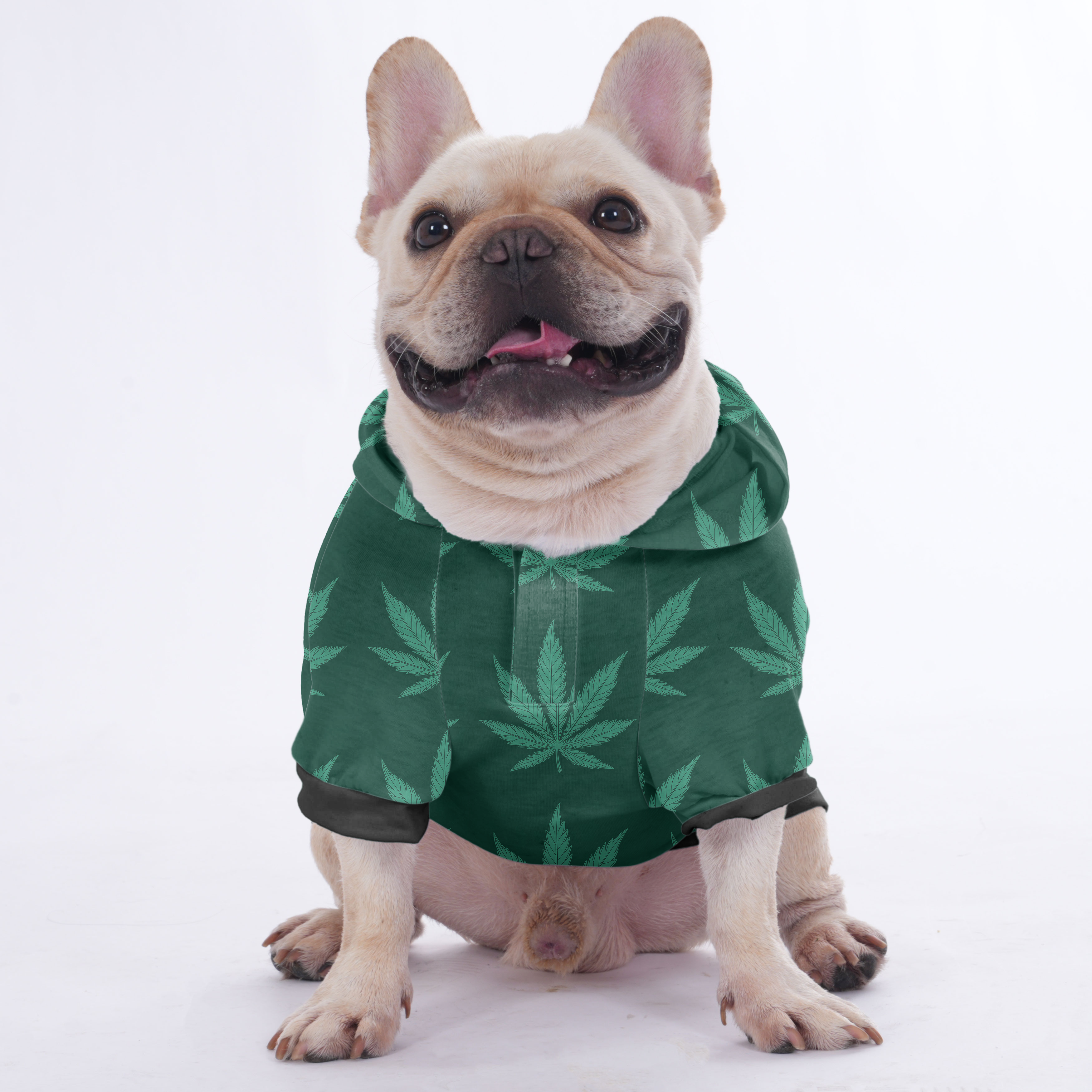 Toby French Bulldog Fleece Hoodie for Training Sessions-fadou