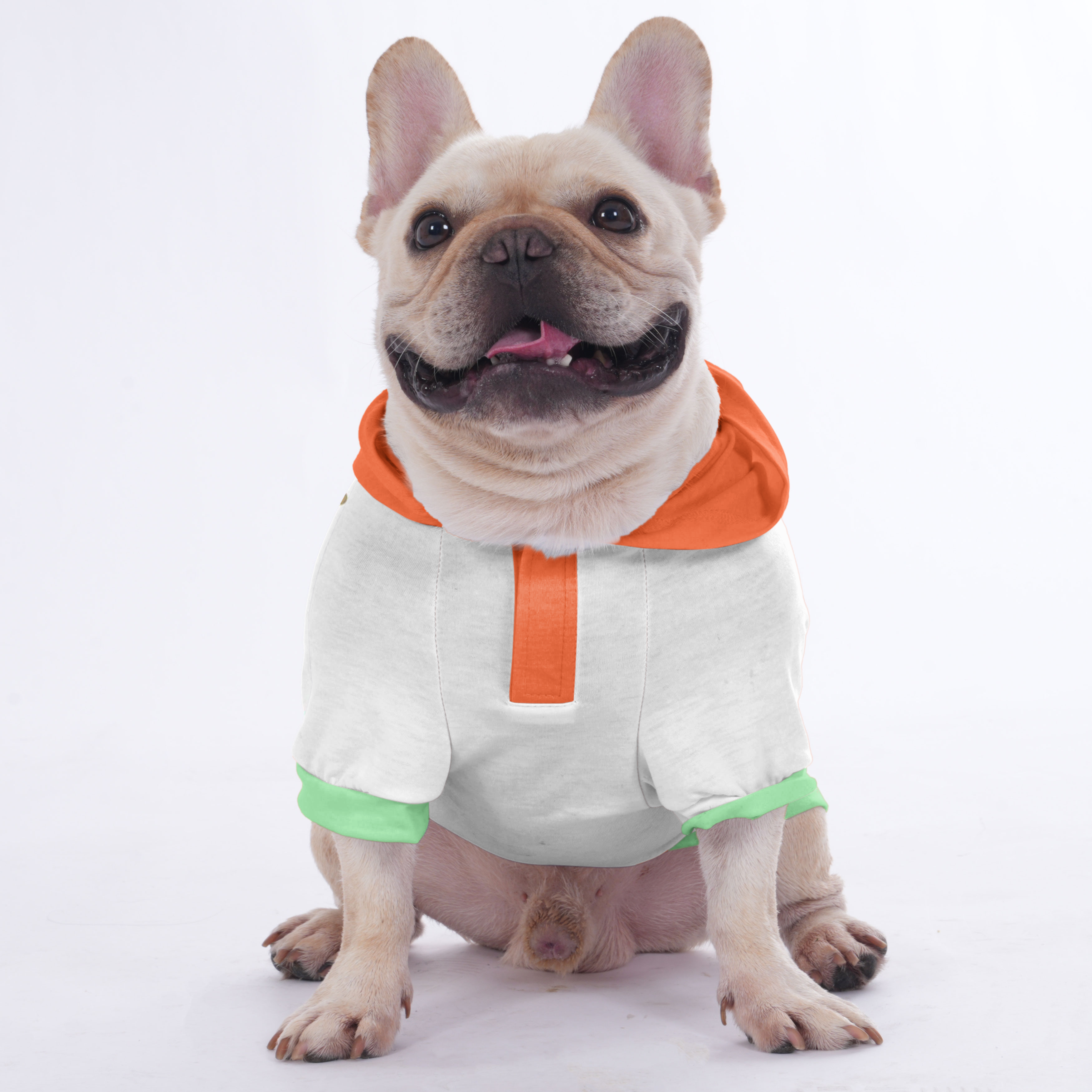 Harper French Bulldog Pet Sweatshirt for Outdoor Adventures-fadou