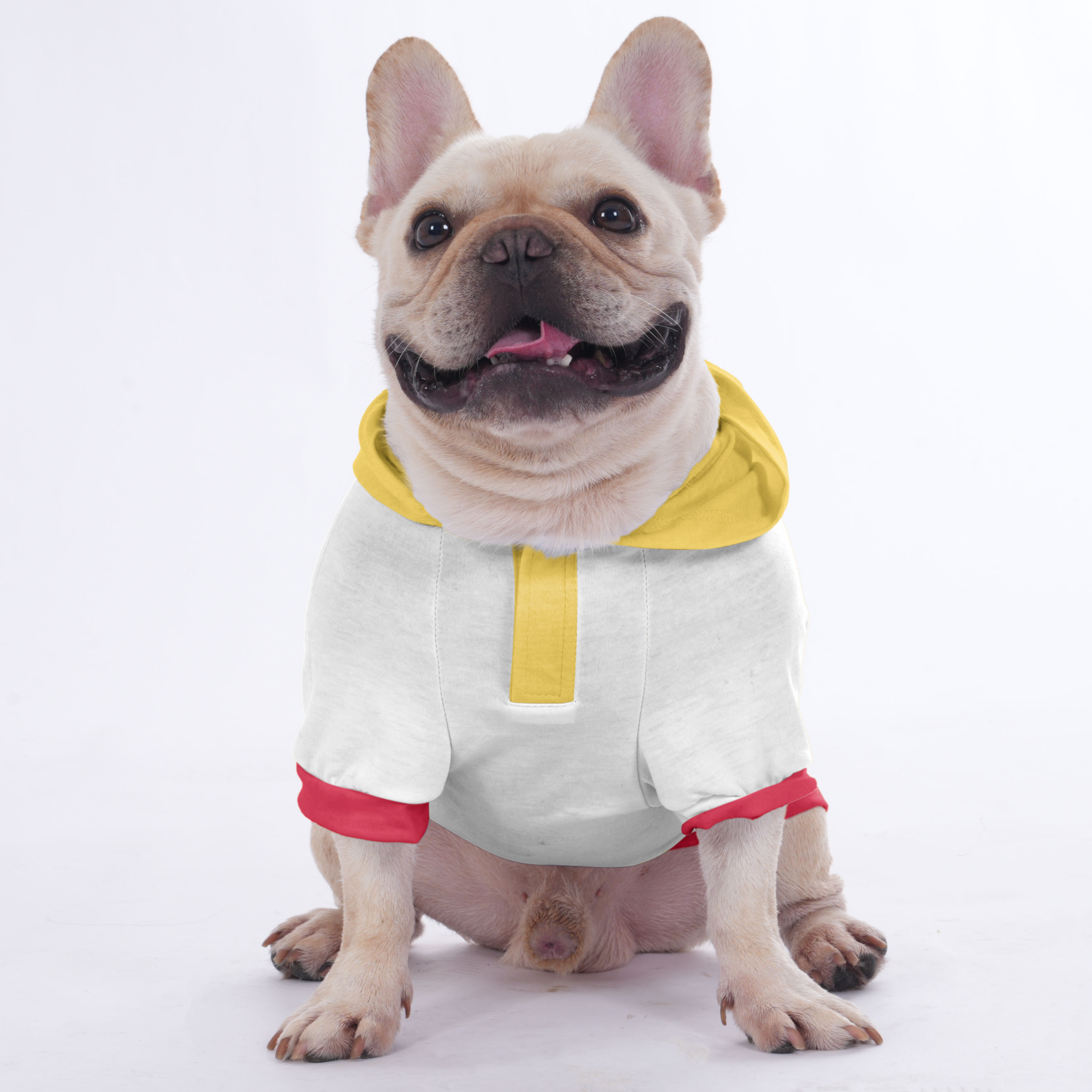 Penny French Bulldog Cozy Hoodie for Brachycephalic Dogs-fadou