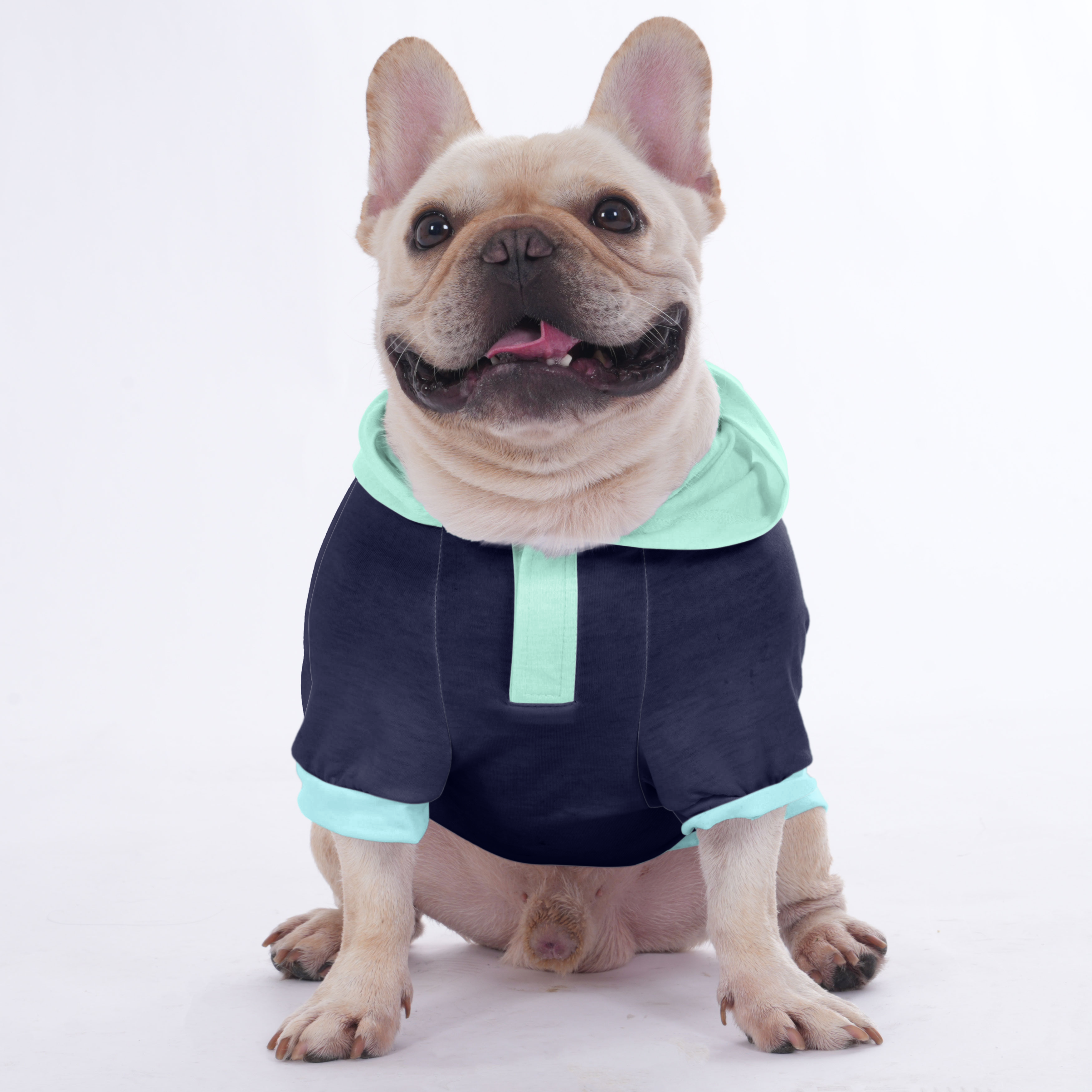 Trixie French Bulldog Pet Sweatshirt for French Bulldogs-fadou
